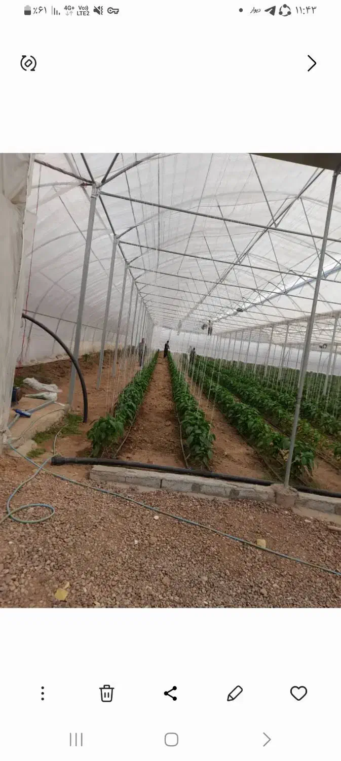 شهرک گلخانه ای|فروش دفتر صنعتی، کشاورزی، تجاری|قزوین, |دیوار