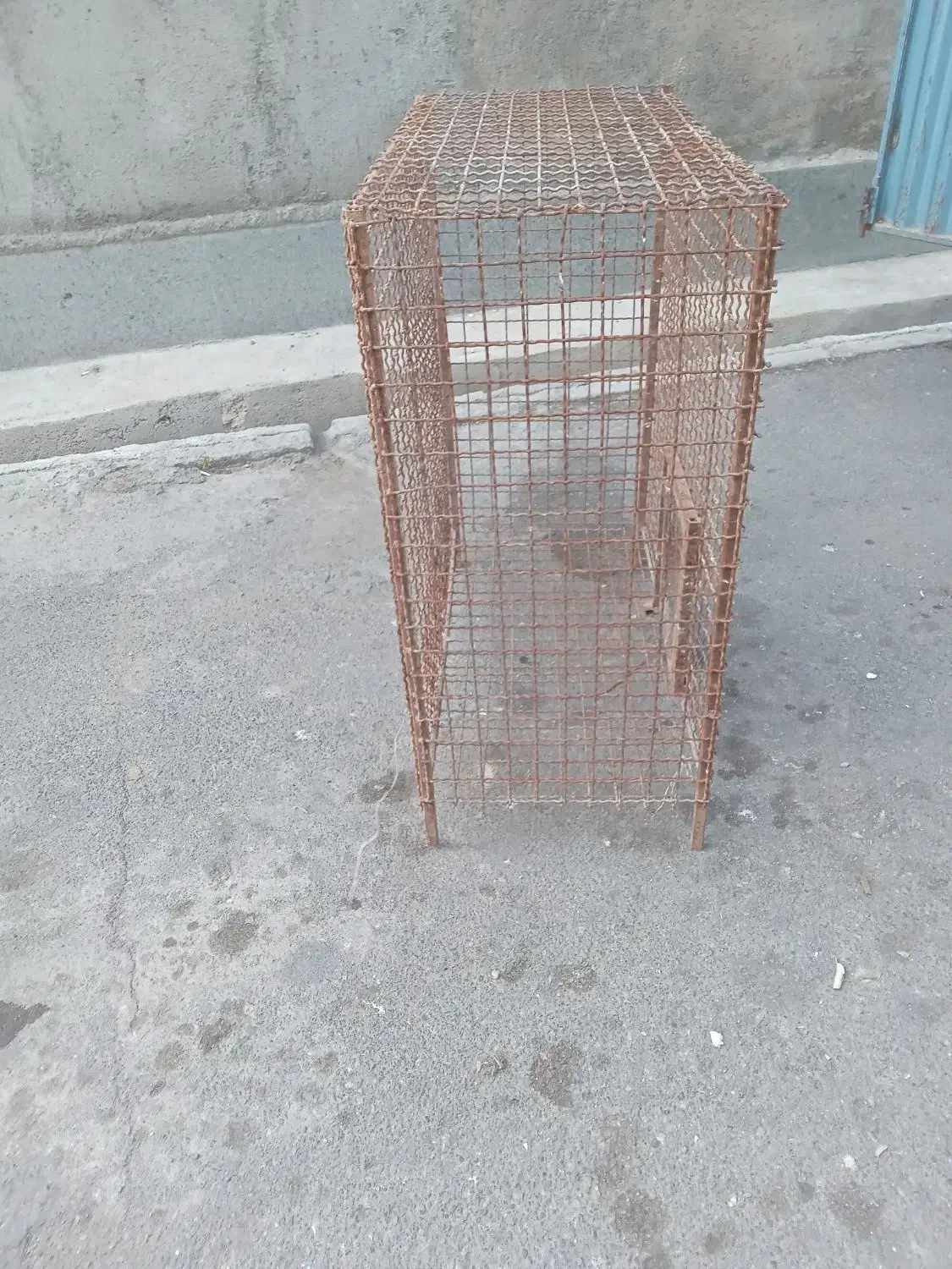 قفس پرنده توری ضخیم|لوازم جانبی حیوانات|شوط, |دیوار