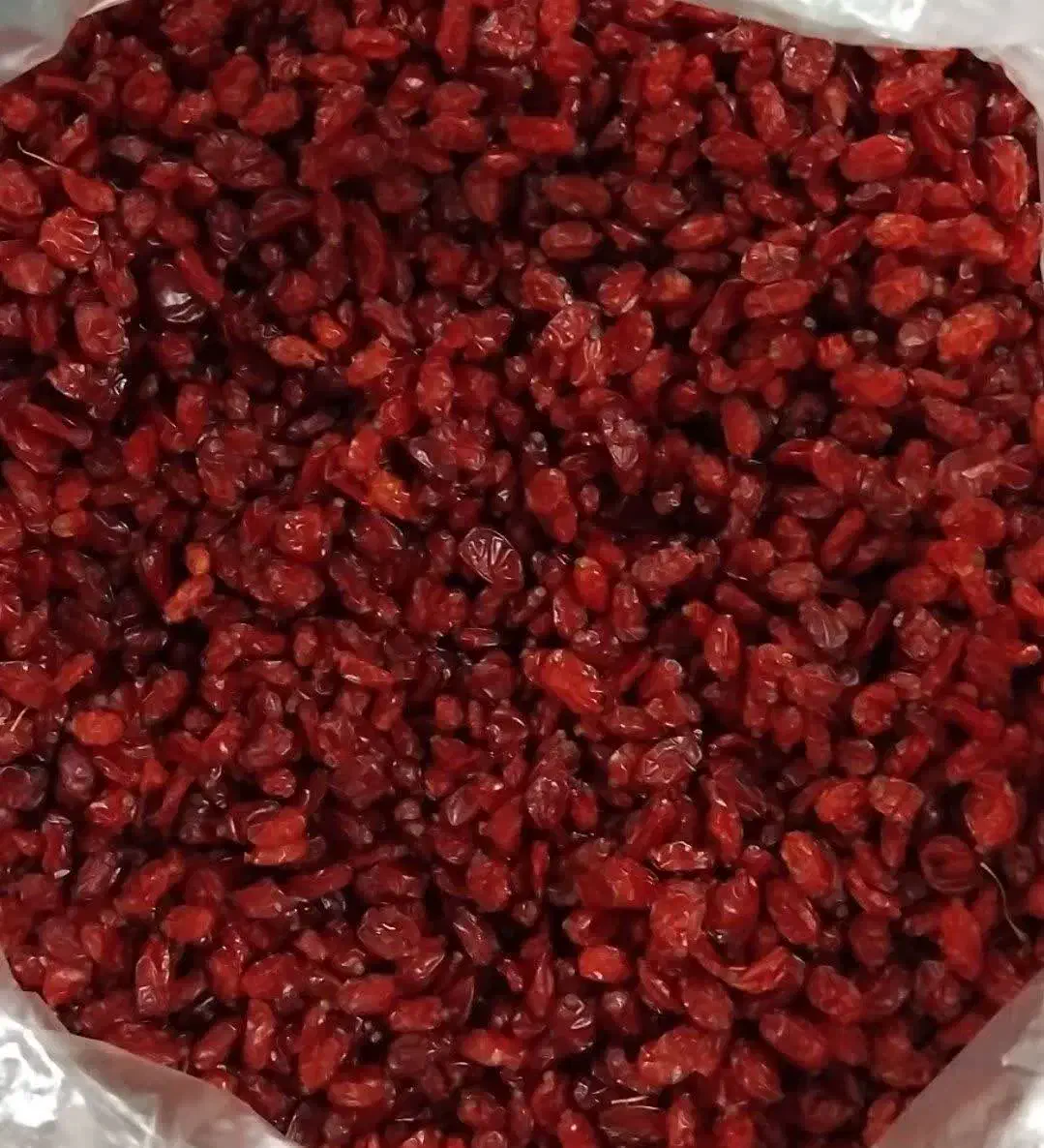 زرشک امسالی بهترین قیمت|خوردنی و آشامیدنی|اسلامشهر, شهرک قائمیه|دیوار