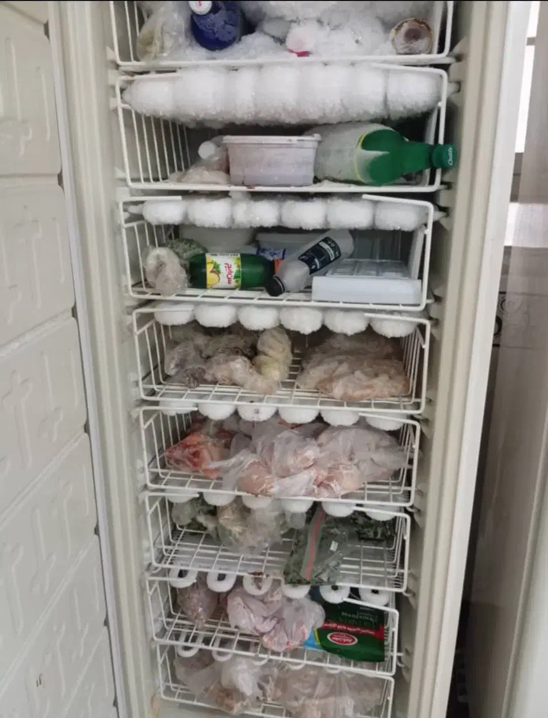 یخچال فریزر|یخچال و فریزر|برازجان, |دیوار