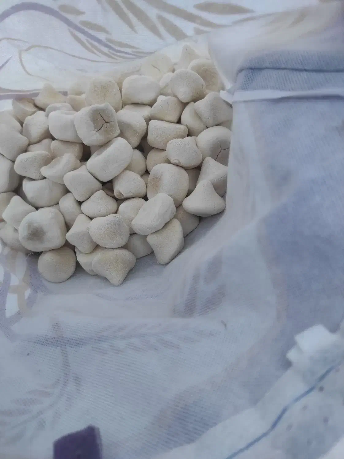 کشک بز|خوردنی و آشامیدنی|اهواز, شریعتی جنوبی|دیوار