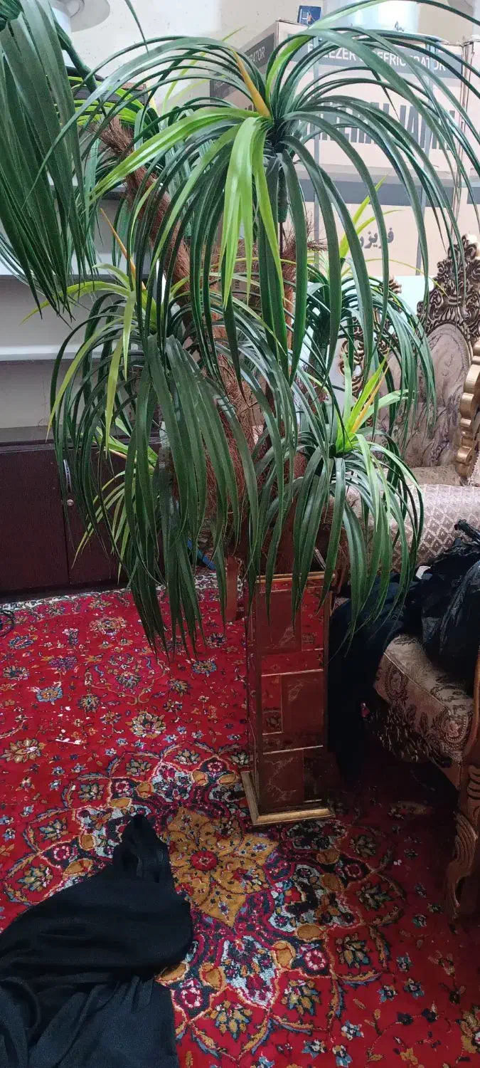 بهارستان|گل مصنوعی|اهواز, بهارستان|دیوار