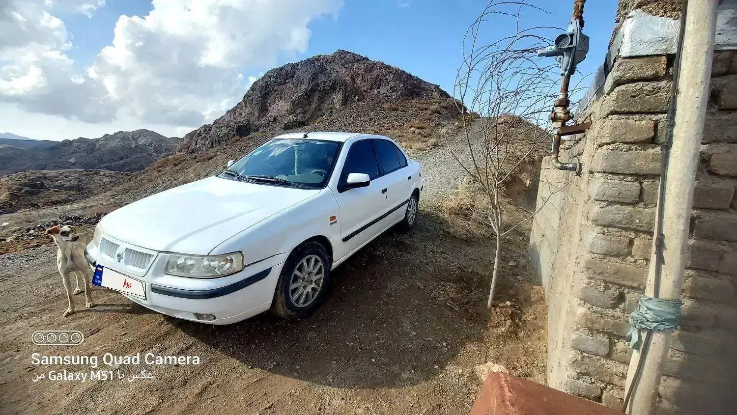 سمند پایه گاز سوز مدل ۹۱ ماشین خانگی|خودرو سواری و وانت|تربت‌حیدریه, پایانه مسافربری تربت حیدریه|دیوار