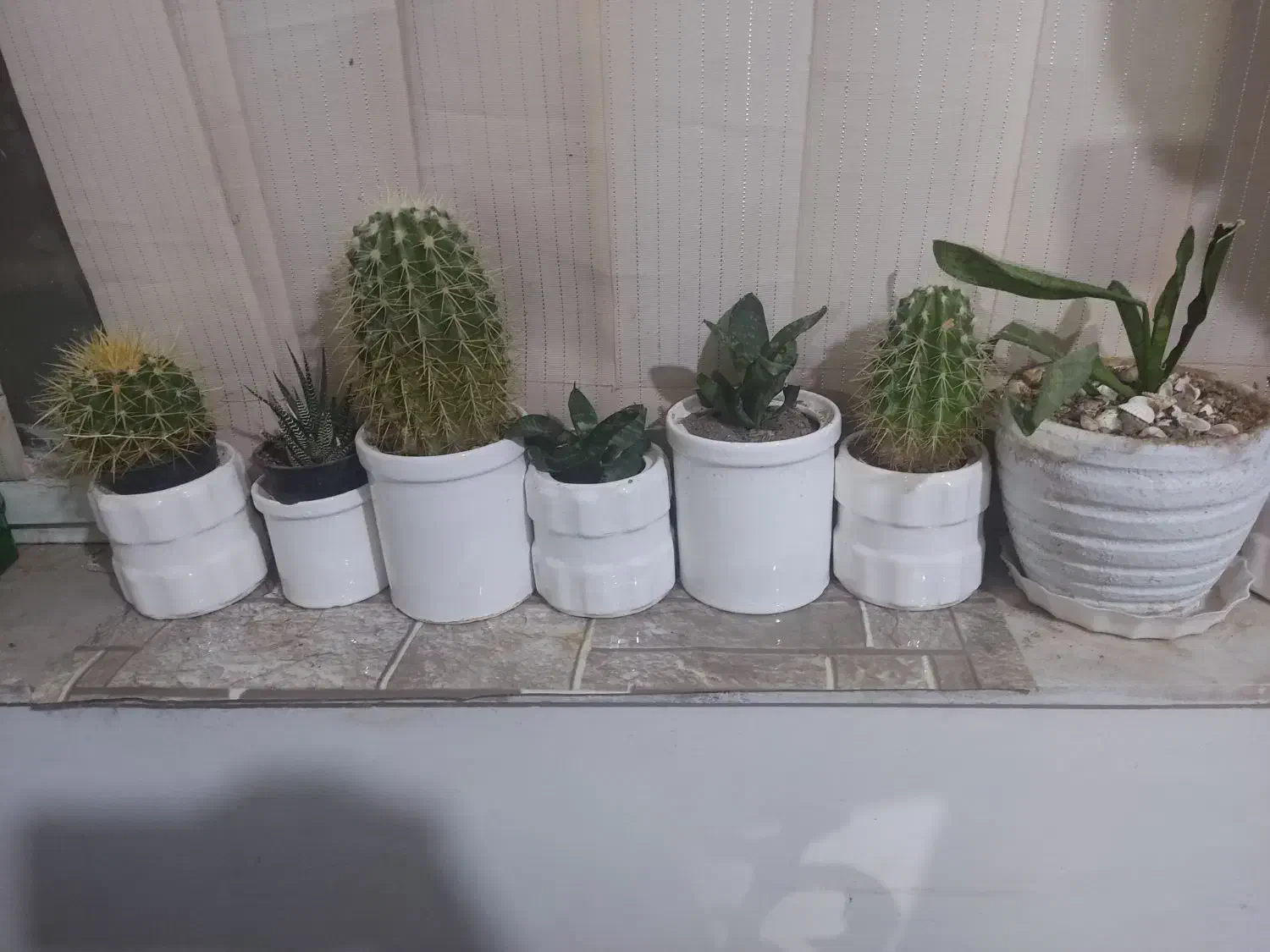 hi gkhc|تلفن رومیزی|تربت جام, مطهری|دیوار