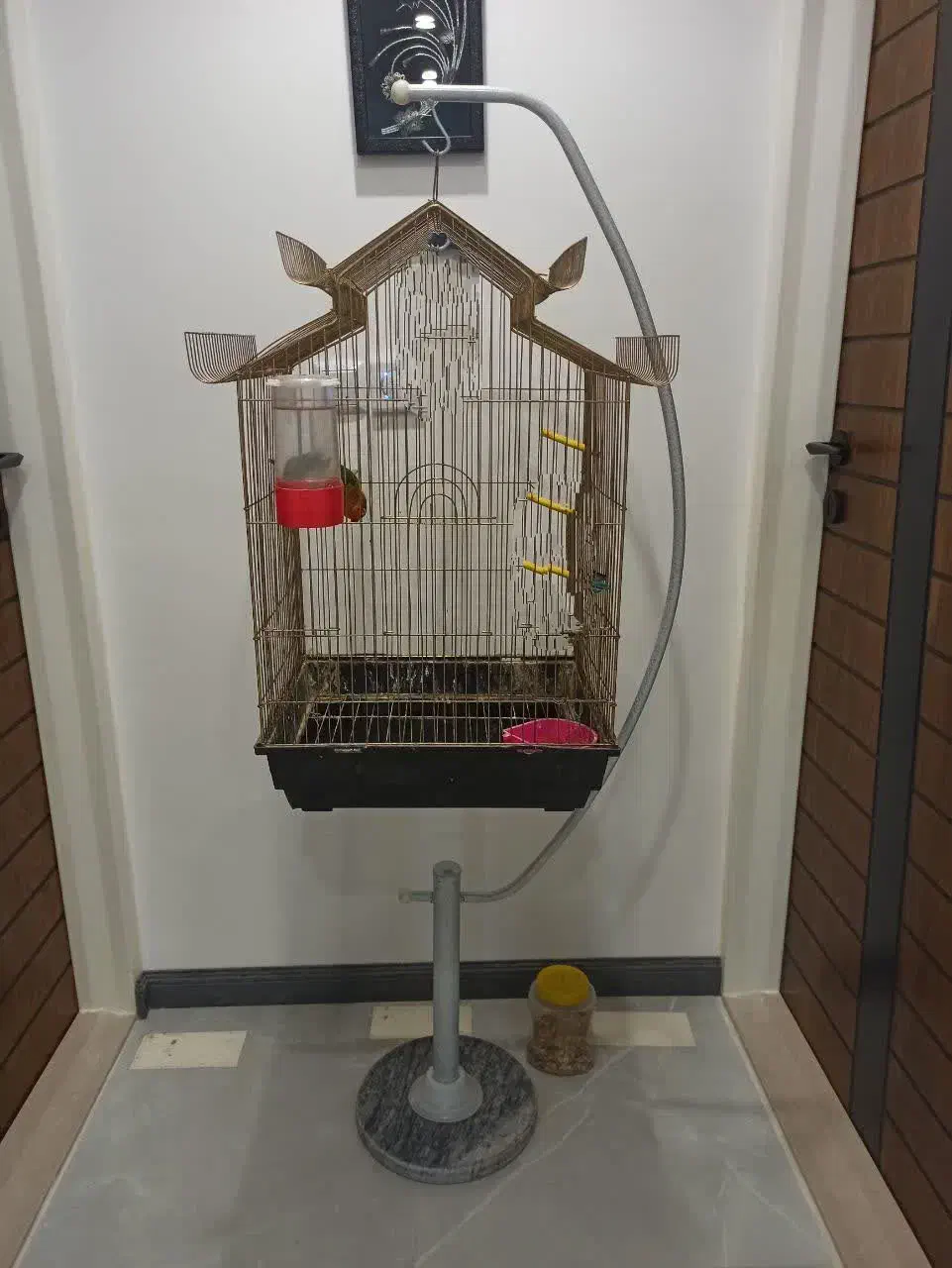 قفس|لوازم جانبی حیوانات|قم, یزدانشهر|دیوار