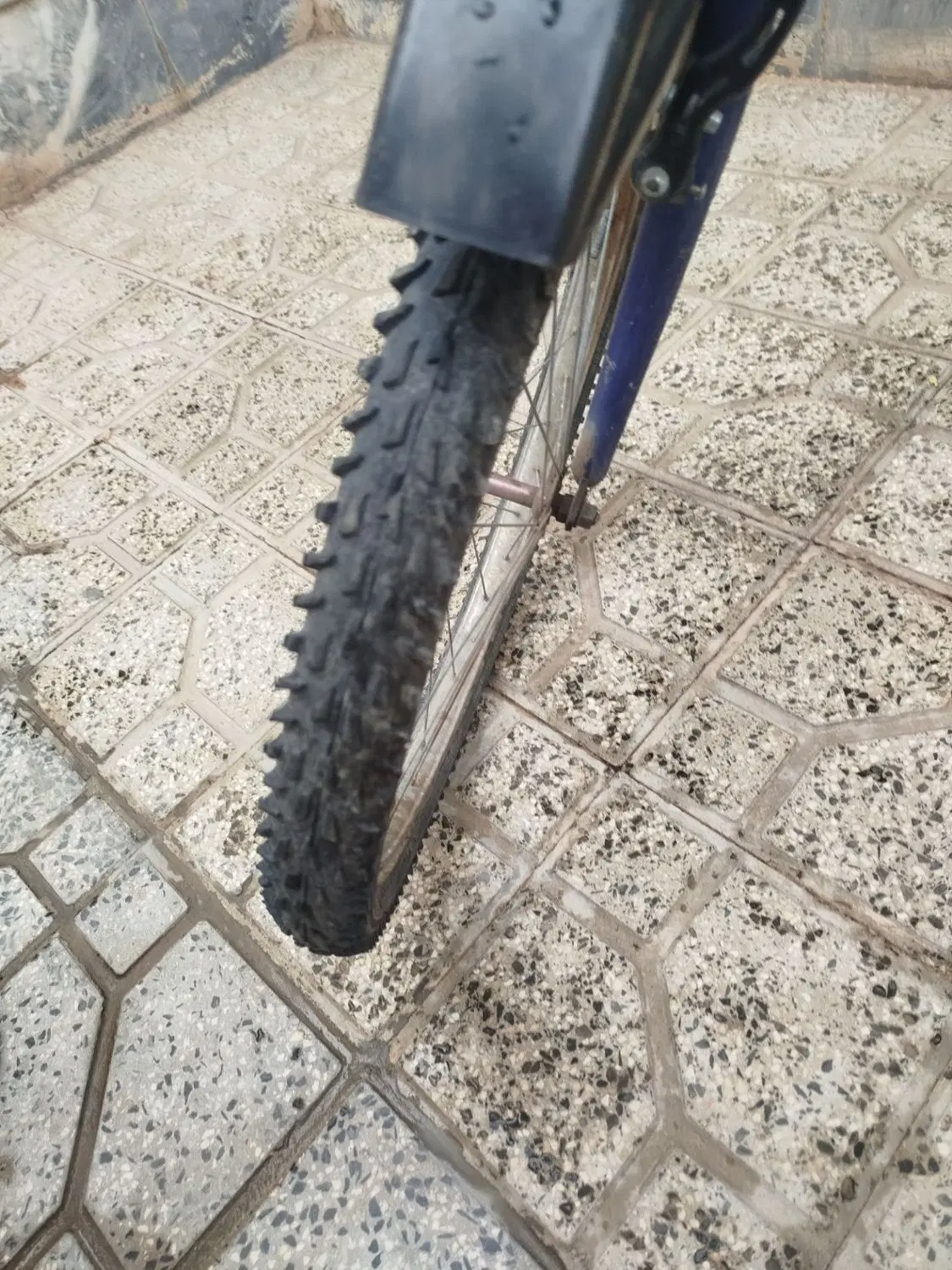 دوچرخه ۲۴|دوچرخه، اسکیت، اسکوتر|شال, |دیوار