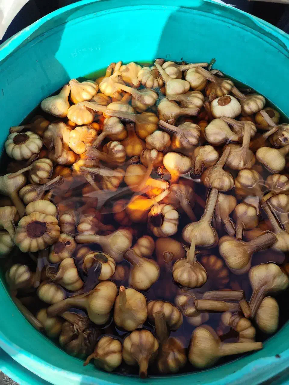 فروش عمده محصولات زیتون طارم|خوردنی و آشامیدنی|آمل, |دیوار