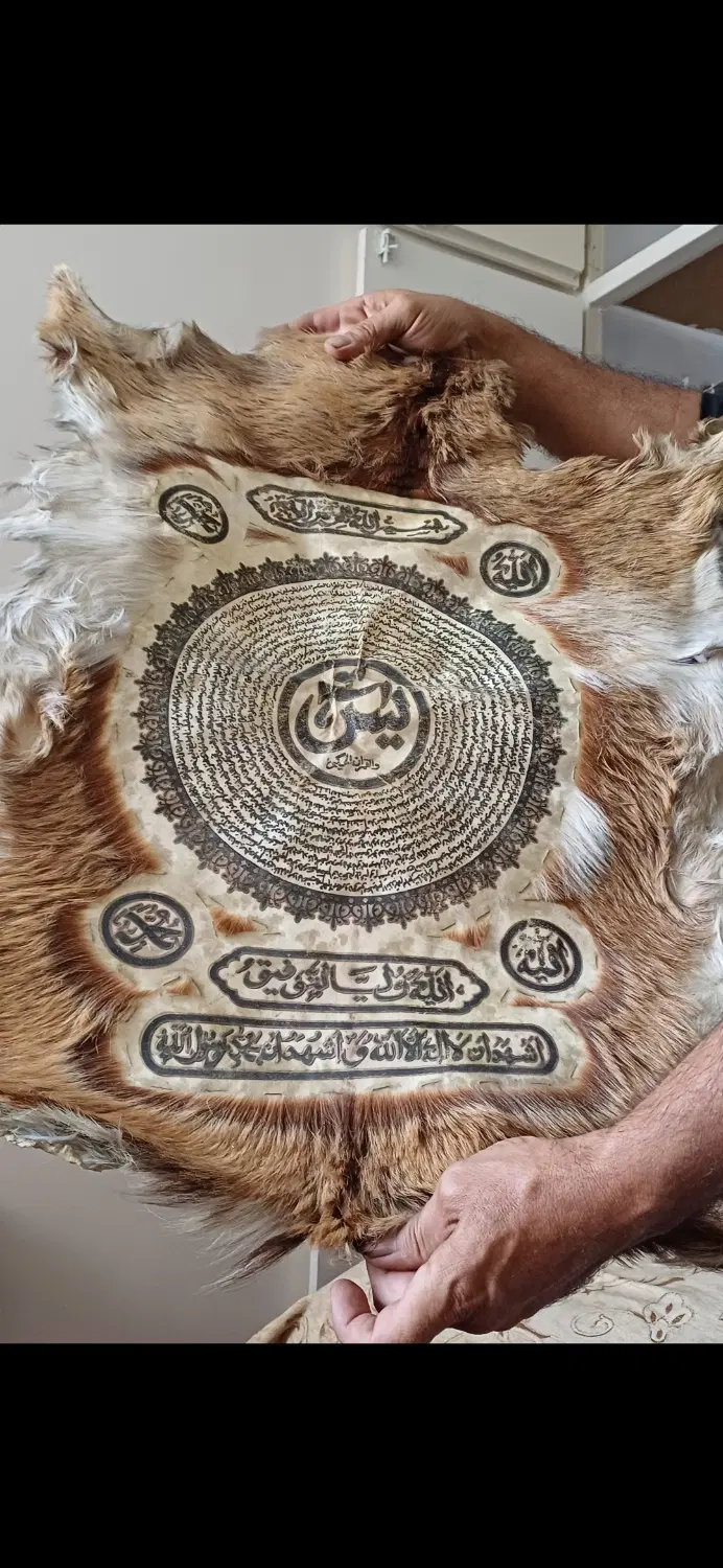 تابلو پوست سوره یاسین کاملا سالم|تابلو، نقاشی، عکس|تهران, تاکسیرانی|دیوار