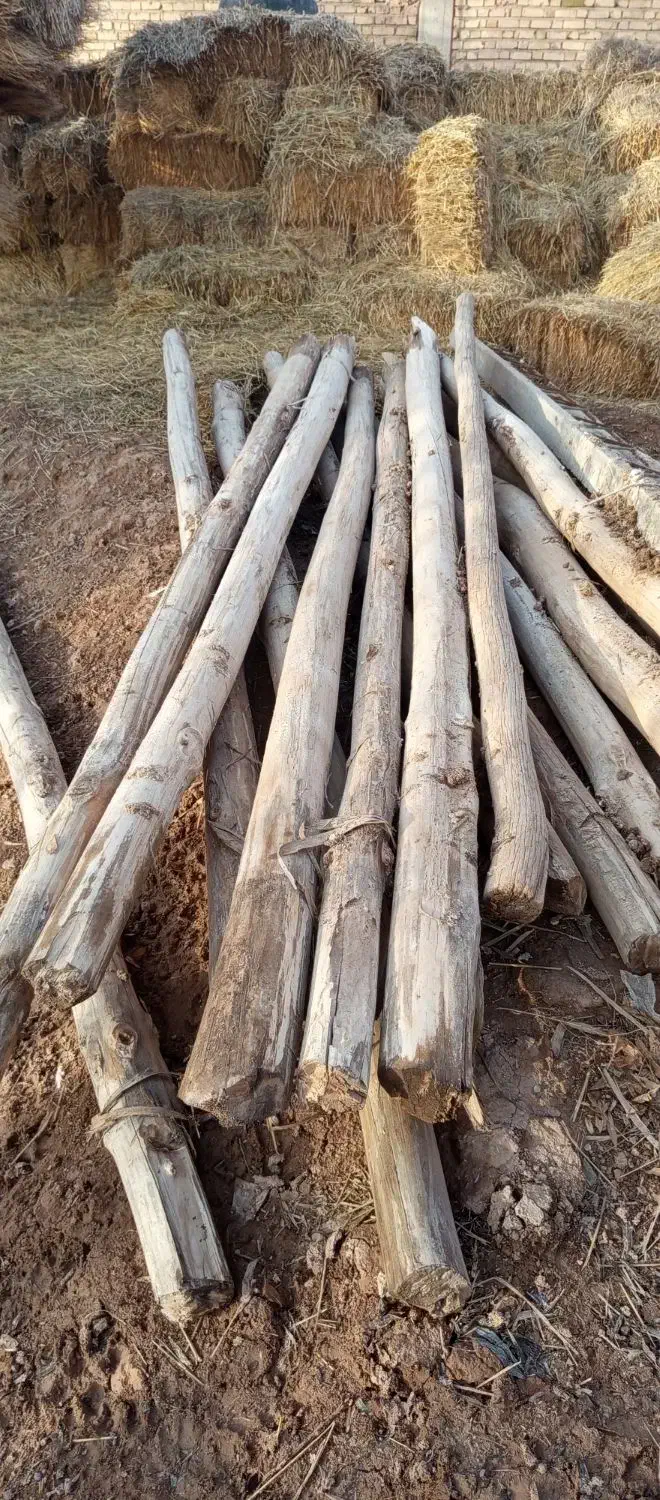 تیر فروشی|حراج|اسفراین, |دیوار