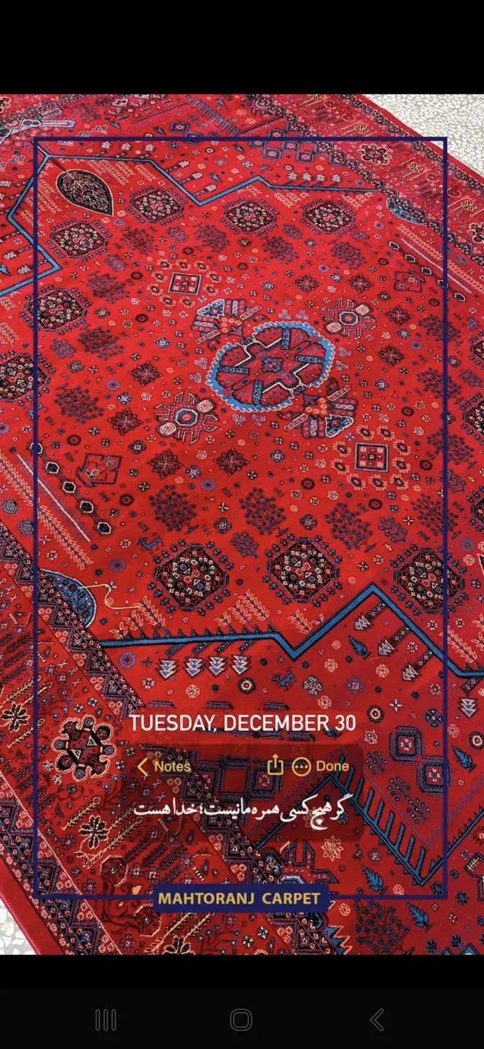 9متری لاکی مه ترنج 14میلیون|فرش|مشهد, سراب|دیوار