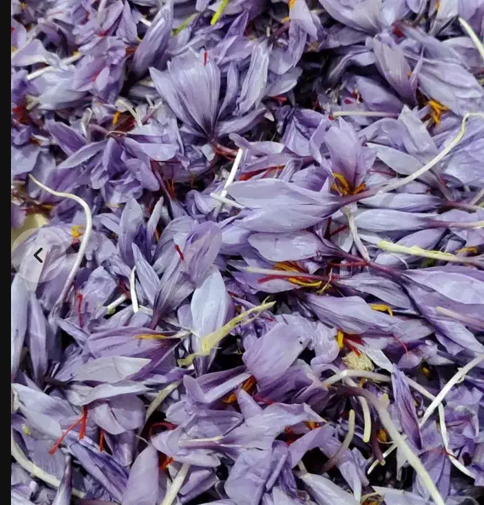 گل زعفران تازه شهریار|خوردنی و آشامیدنی|رباط‌کریم, کیکاور|دیوار