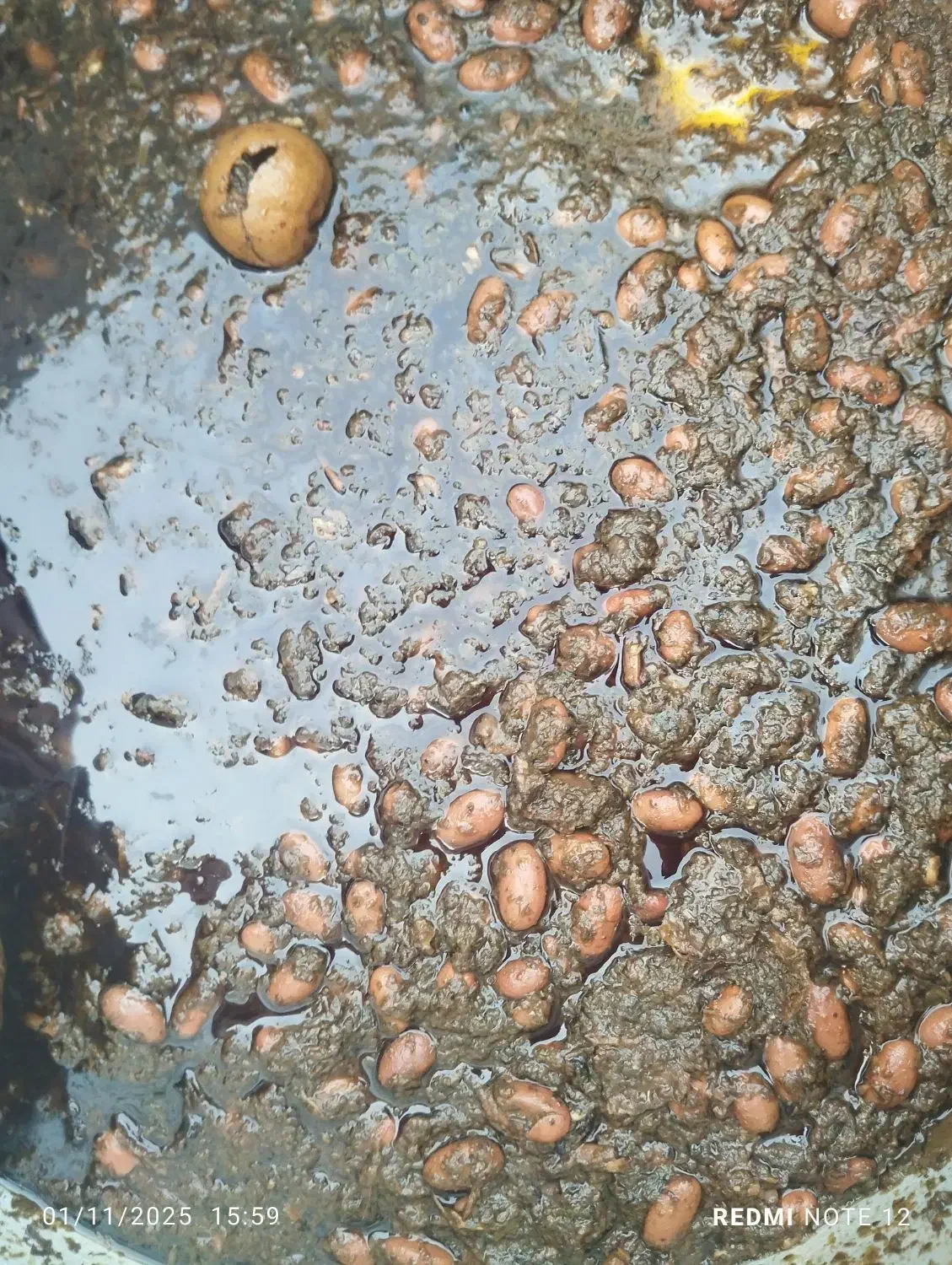 به یک آقا یا خانم جهت کار در غذای خانگی نیازمندیم|استخدام خدمات فروشگاه و رستوران|چابهار, |دیوار