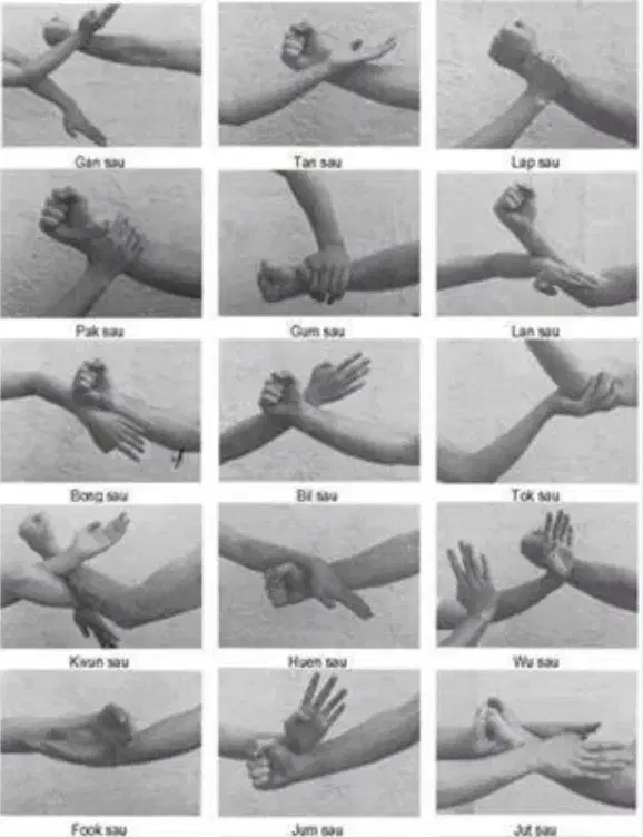 آموزش کونگ فوی چینی|خدمات آموزشی|اراک, |دیوار