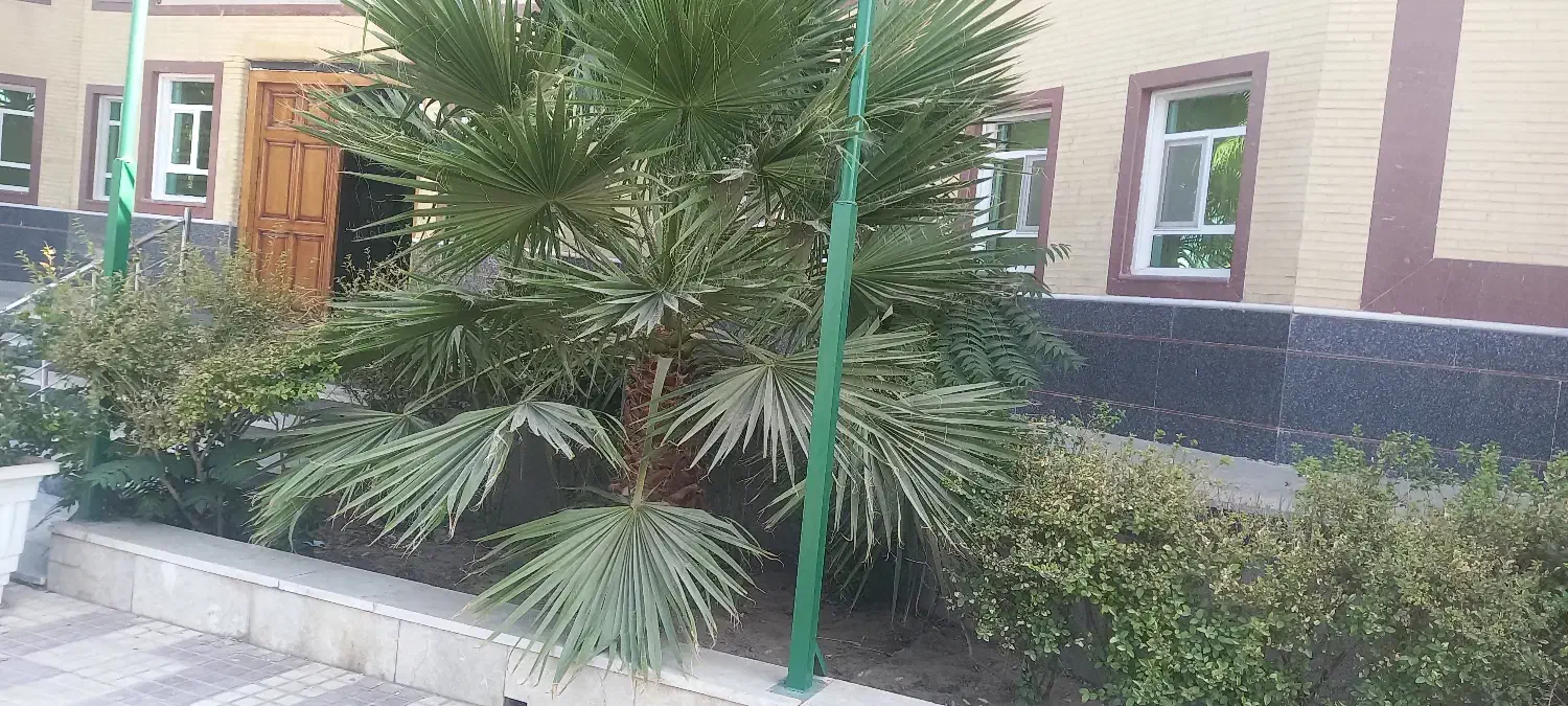 استخدام کارگر ساده|استخدام خدمات فروشگاه و رستوران|مهریز, |دیوار