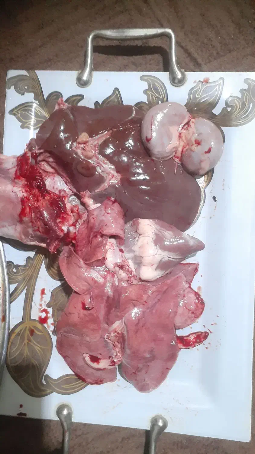 نر بره گوسفند|حیوانات مزرعه|مینودشت, |دیوار