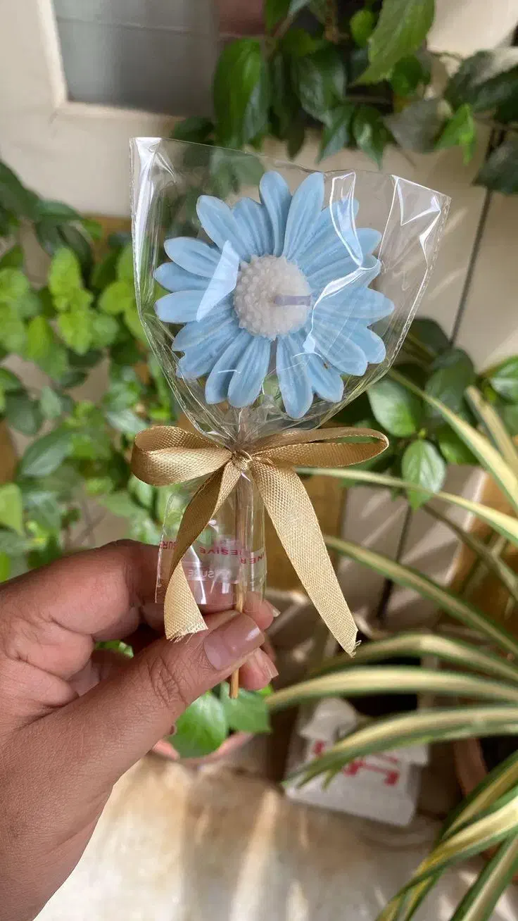 استند هدیه گیفت گل|مجسمه، تندیس، ماکت|سبزوار, توحیدشهر|دیوار