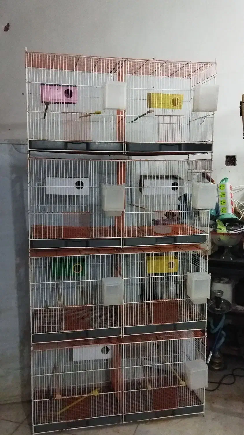 قفس پرنده فروشی توافقی در حدنو|لوازم جانبی حیوانات|اهواز, کوی مندلی(سه راه خرمشهر)|دیوار