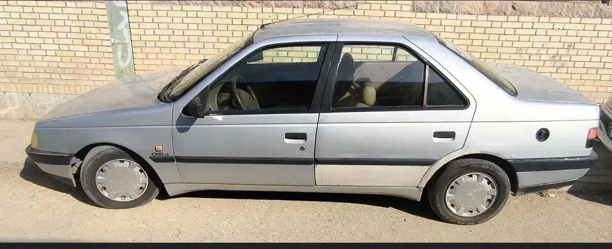 405 دوگانه کارخانه کپسول نو سر سیلندر نو بی رنگ|خودرو سواری و وانت|کرج, حیدرآباد|دیوار