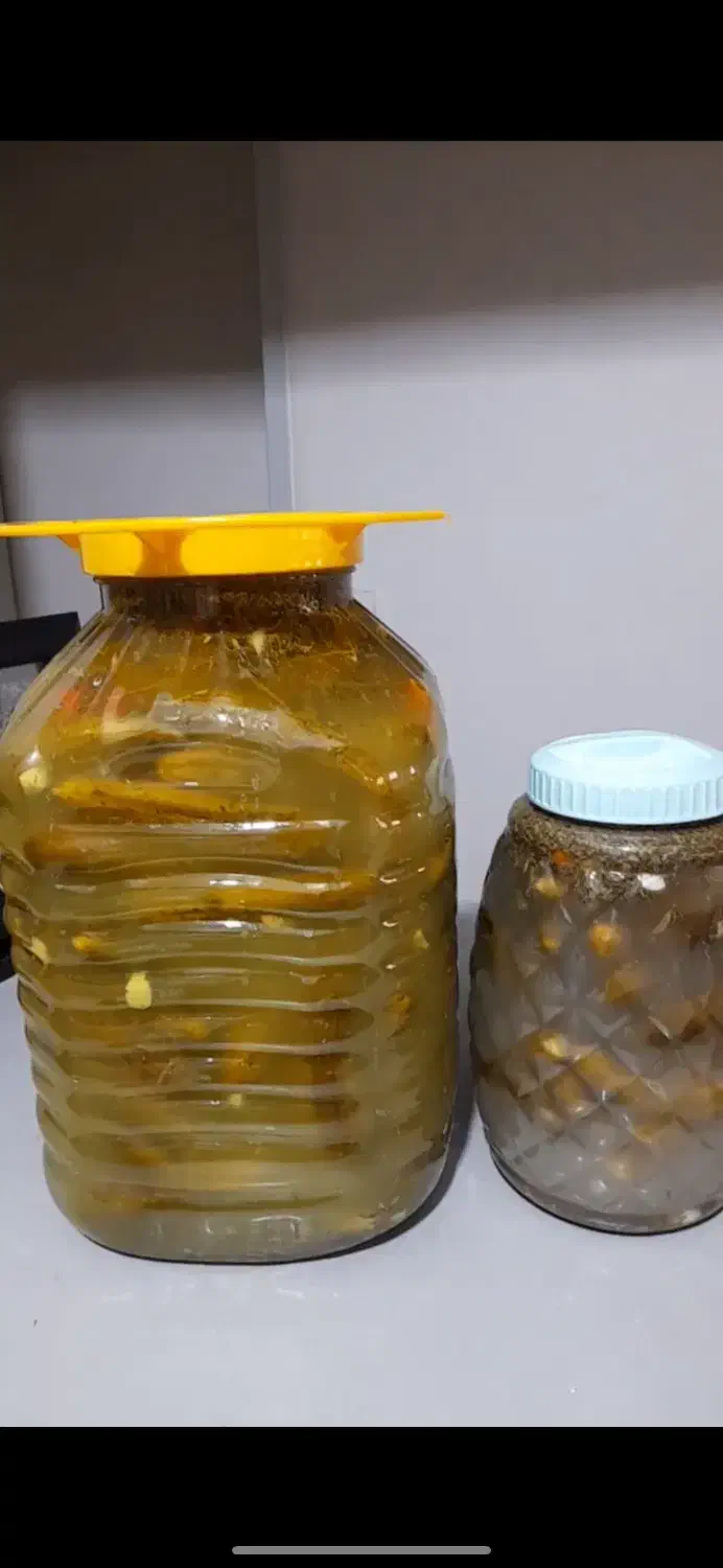 انواع ترشی خونگی کیلویی۱۵۰ ت|خوردنی و آشامیدنی|کرج, اتحاد|دیوار