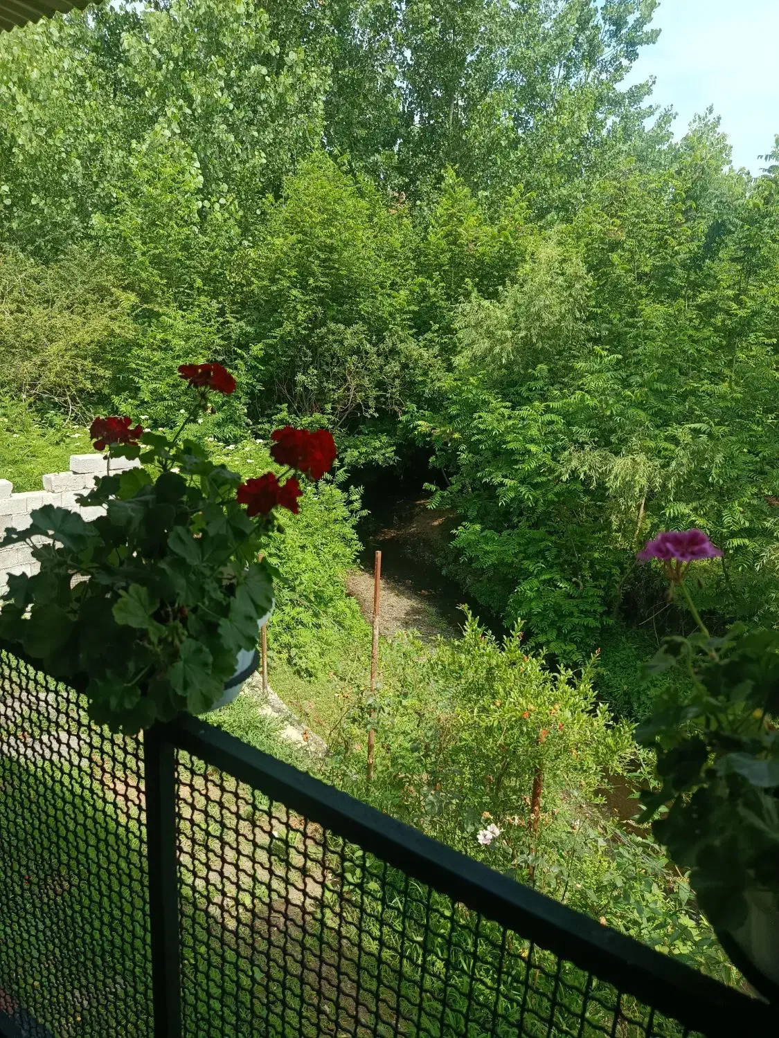 ویلایی تمیز لب رودخانه و جنگل نزدیک دریا|اجارهٔ کوتاه‌مدت ویلا و باغ|تالش, طولارود|دیوار