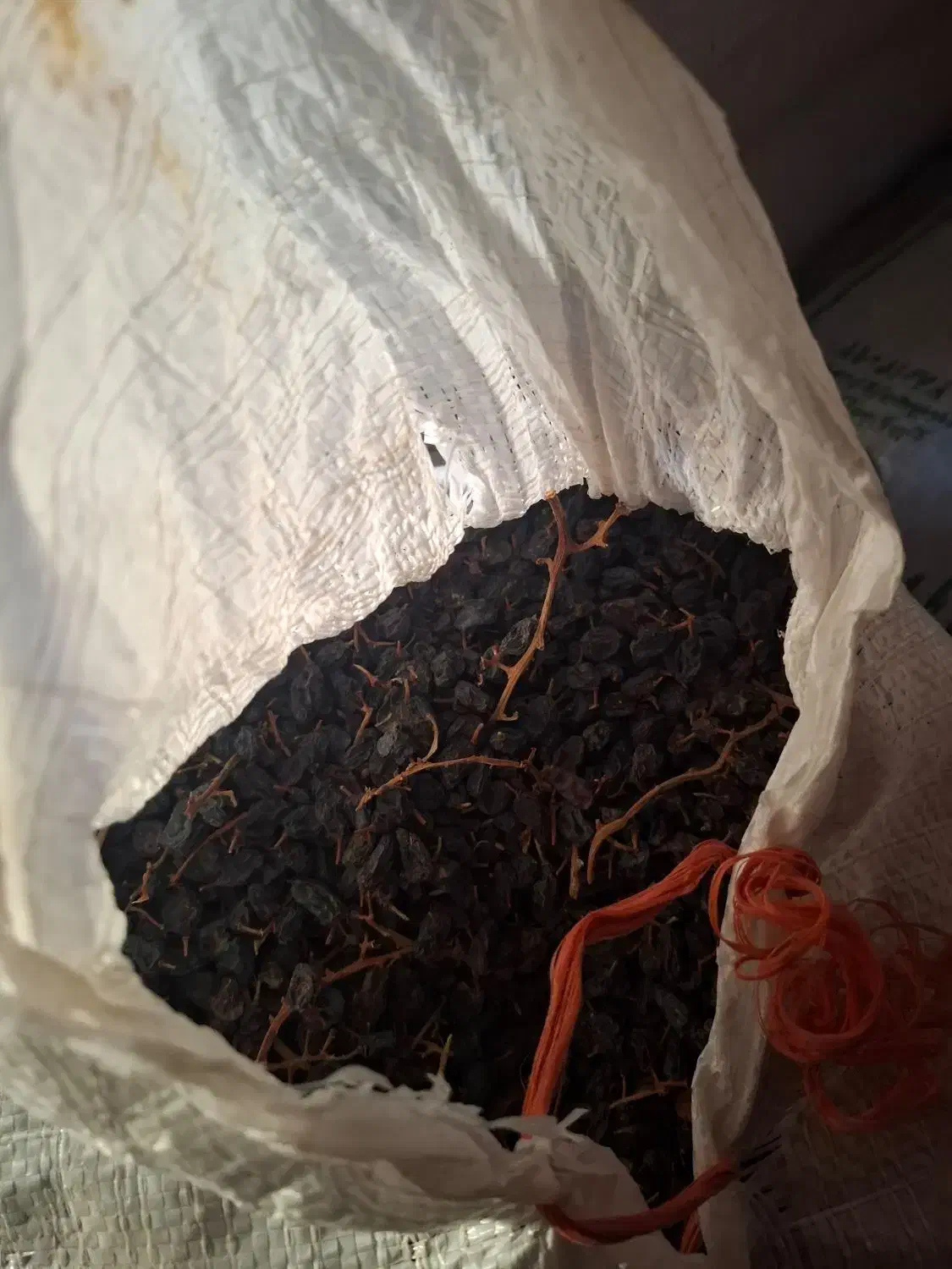 کشمش مویز ترکمن 4|خوردنی و آشامیدنی|دشتابی, |دیوار