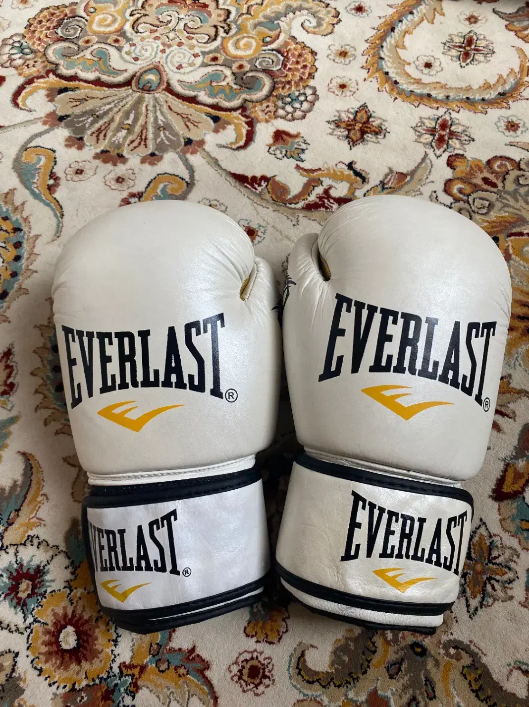دستکش بوکس اورلست Everlast مدل FITER2023|تجهیزات ورزشی|فردیس, فردیس|دیوار