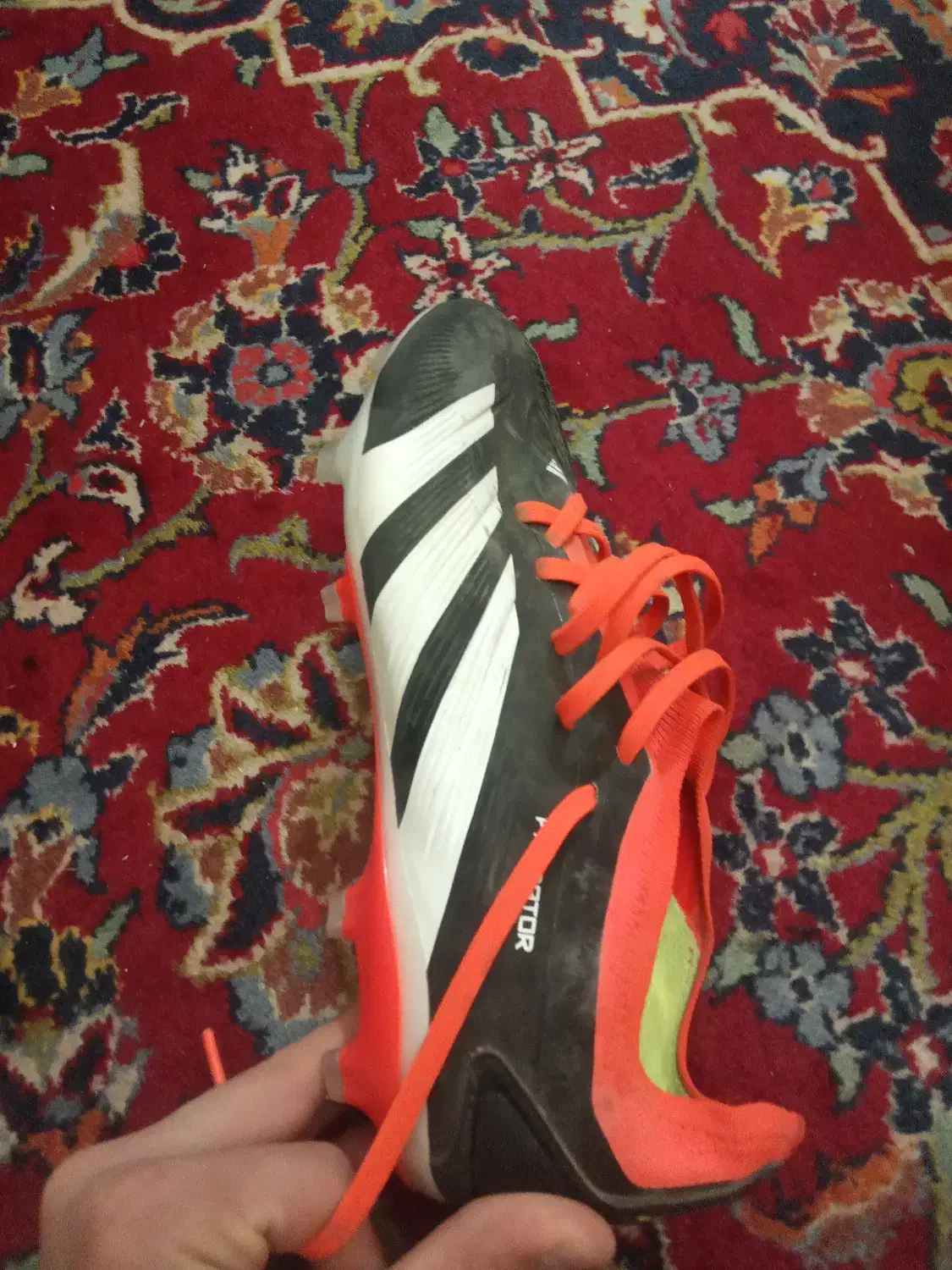 کفش فوتبالی آدیداس پردیتور  اورجینال سایز ۴۰.۵|کیف، کفش، کمربند|تهران, اختیاریه|دیوار