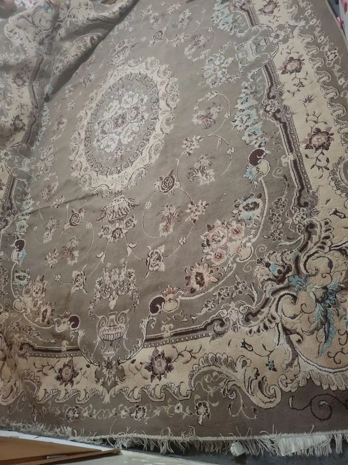 فرش 12 متری|فرش|اهواز, ۲۵۴دستگاه|دیوار