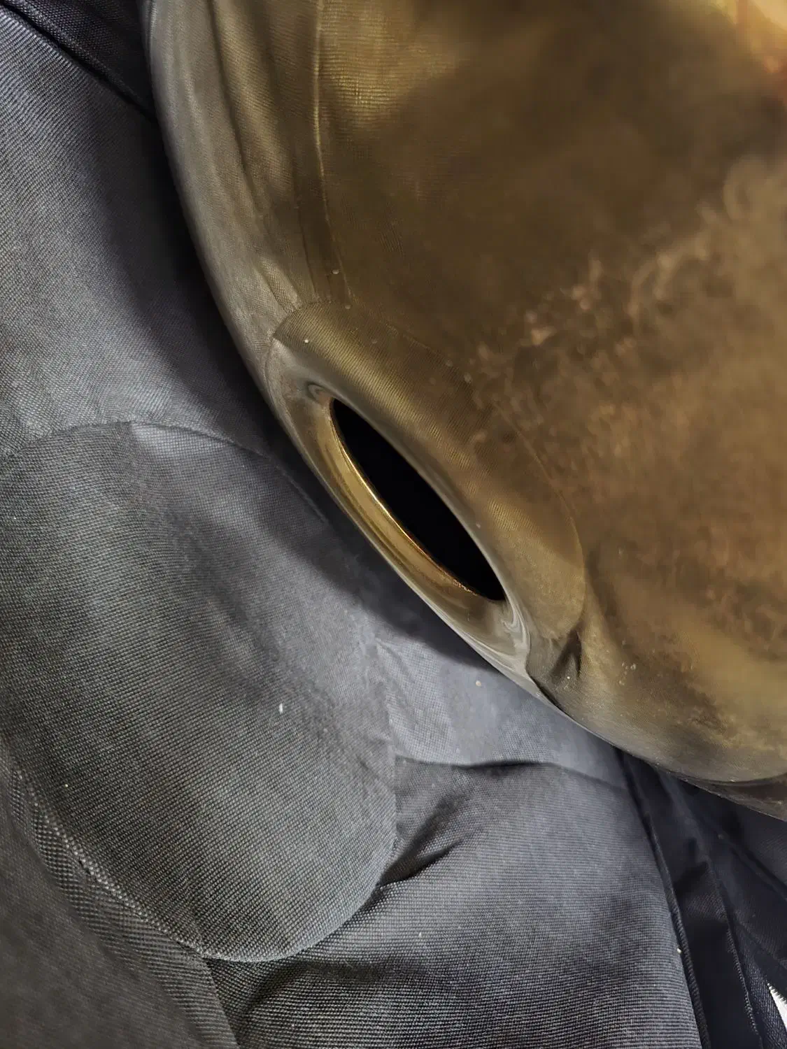 هنگ درام سالم با کیف|درام و پرکاشن|تبریز, |دیوار