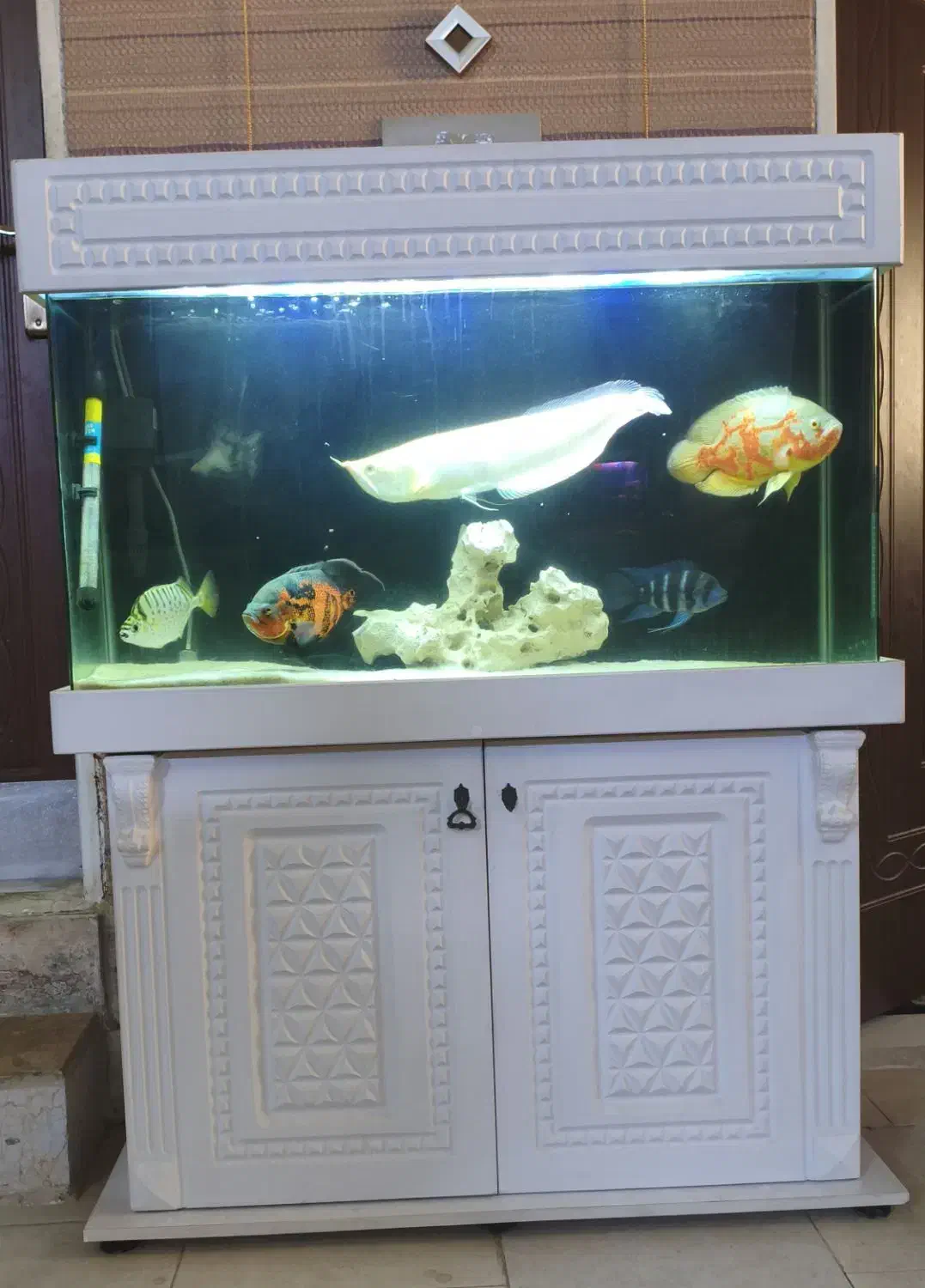 آکواریوم 1 متری با کمد و لوازم و ماهی در حد نو|ماهی|رباطکریم, رباطکریم|دیوار