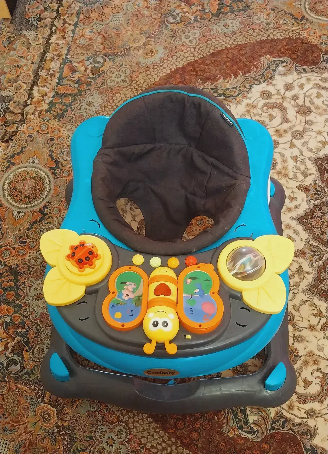 روروک موزیکال|کالسکه و لوازم جانبی|شیراز, میانرود|دیوار