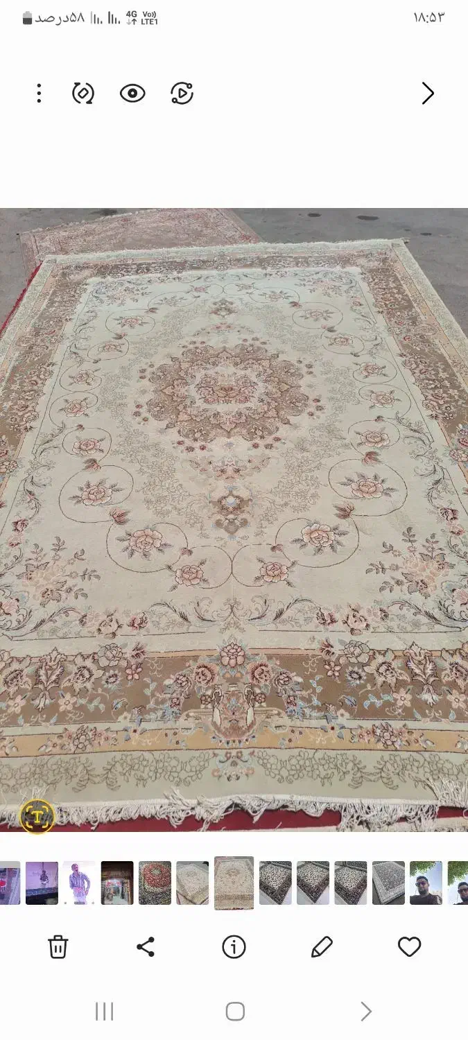 9متری 6متری ۱۲متری گردوی کرم طوسی|فرش|نیشابور, عدالت|دیوار