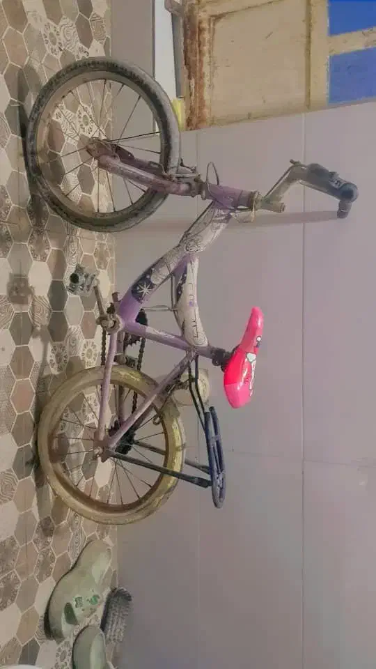 دوچرخه سالم|دوچرخه، اسکیت، اسکوتر|باوی, |دیوار