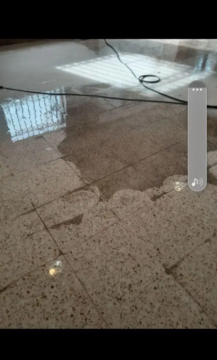 کفسابی سنگ سابی ونماشویی|خدمات نظافت|تهران, چهارصد دستگاه|دیوار