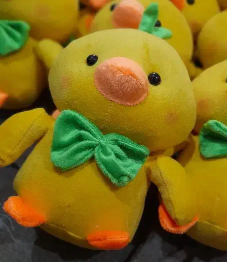 مربی پسر بچه ۹ساله|استخدام آموزشی|رشت, سلیمانداراب|دیوار