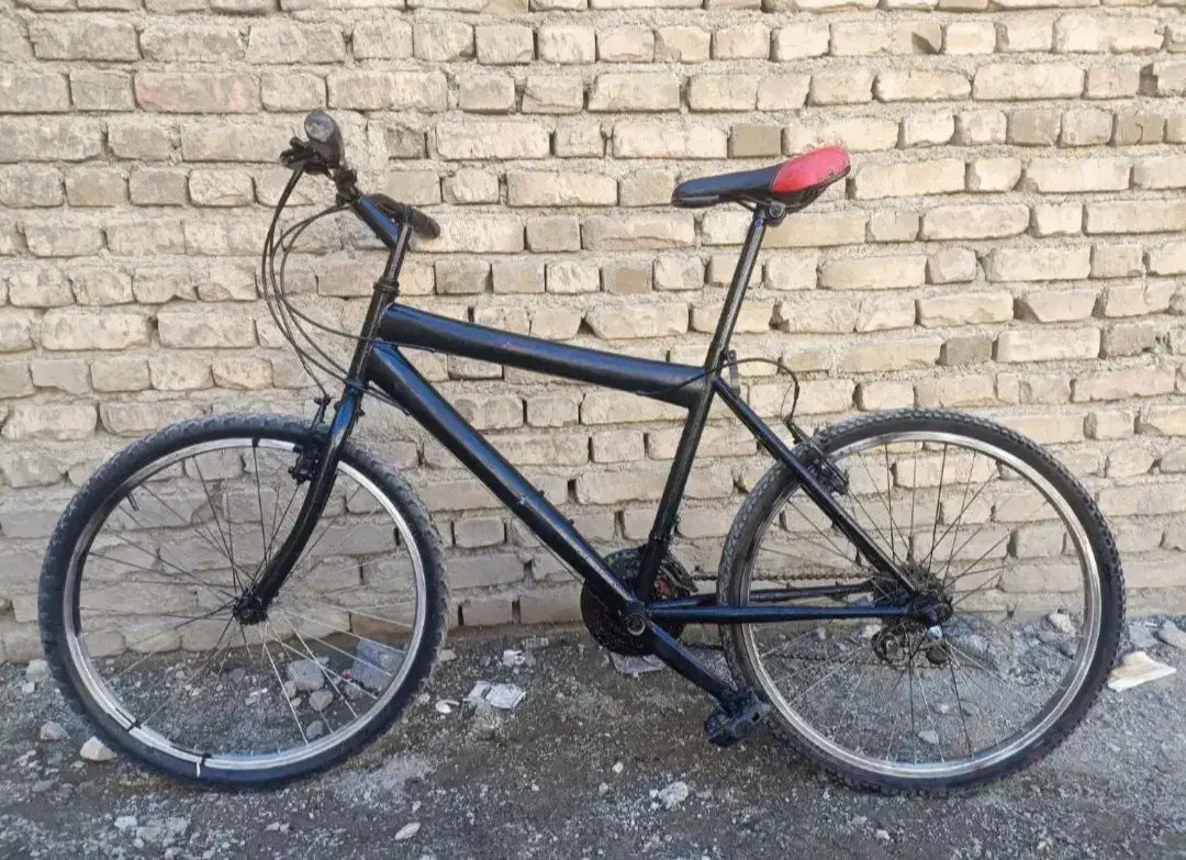 دوچرخه ۲۴ تنه کوتاه|دوچرخه، اسکیت، اسکوتر|سنندج, |دیوار