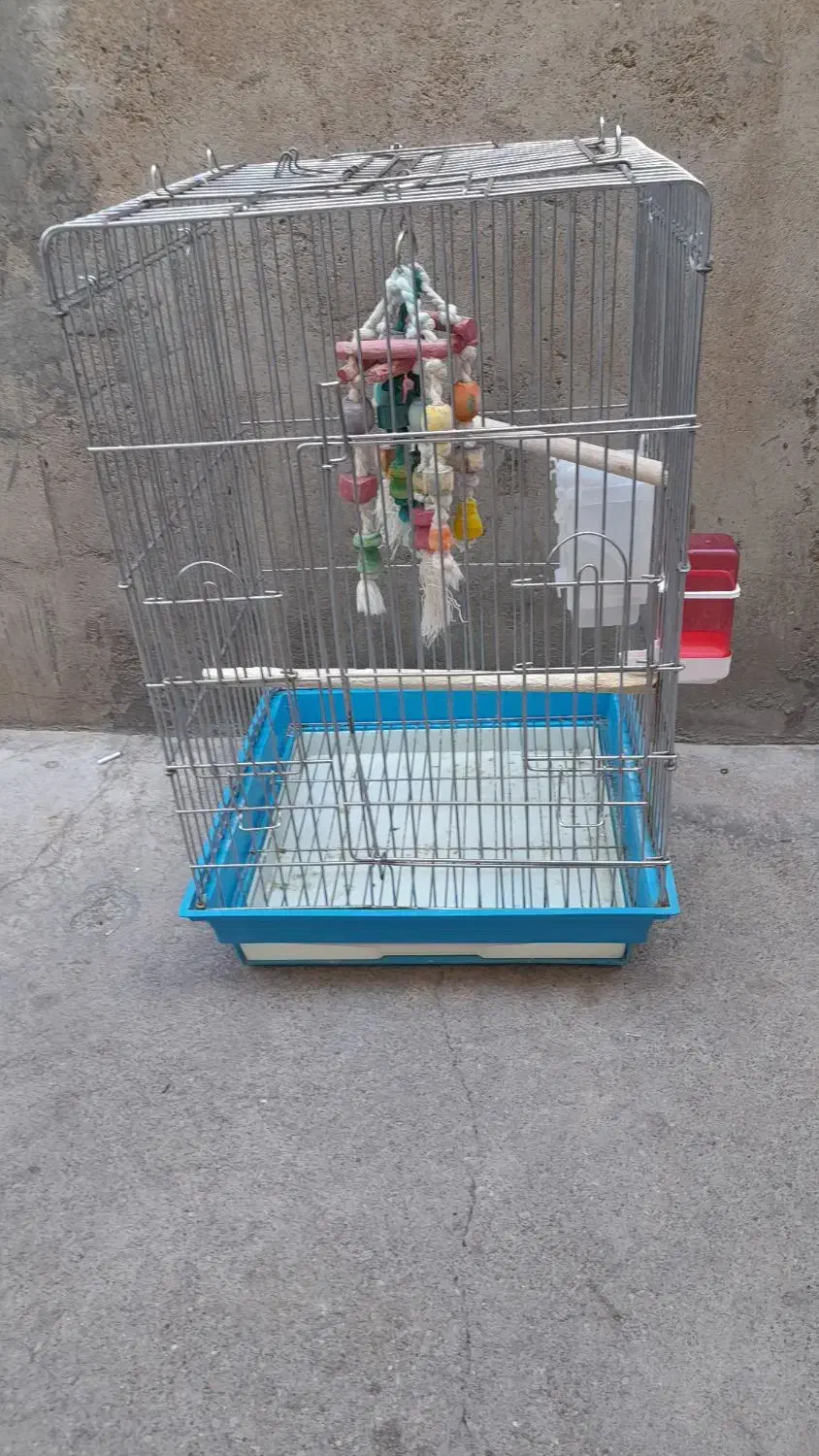 قفس طوطی سایز بزرگ بزرگ معاوضه با پرنده فقط|لوازم جانبی حیوانات|مسجد سلیمان, |دیوار