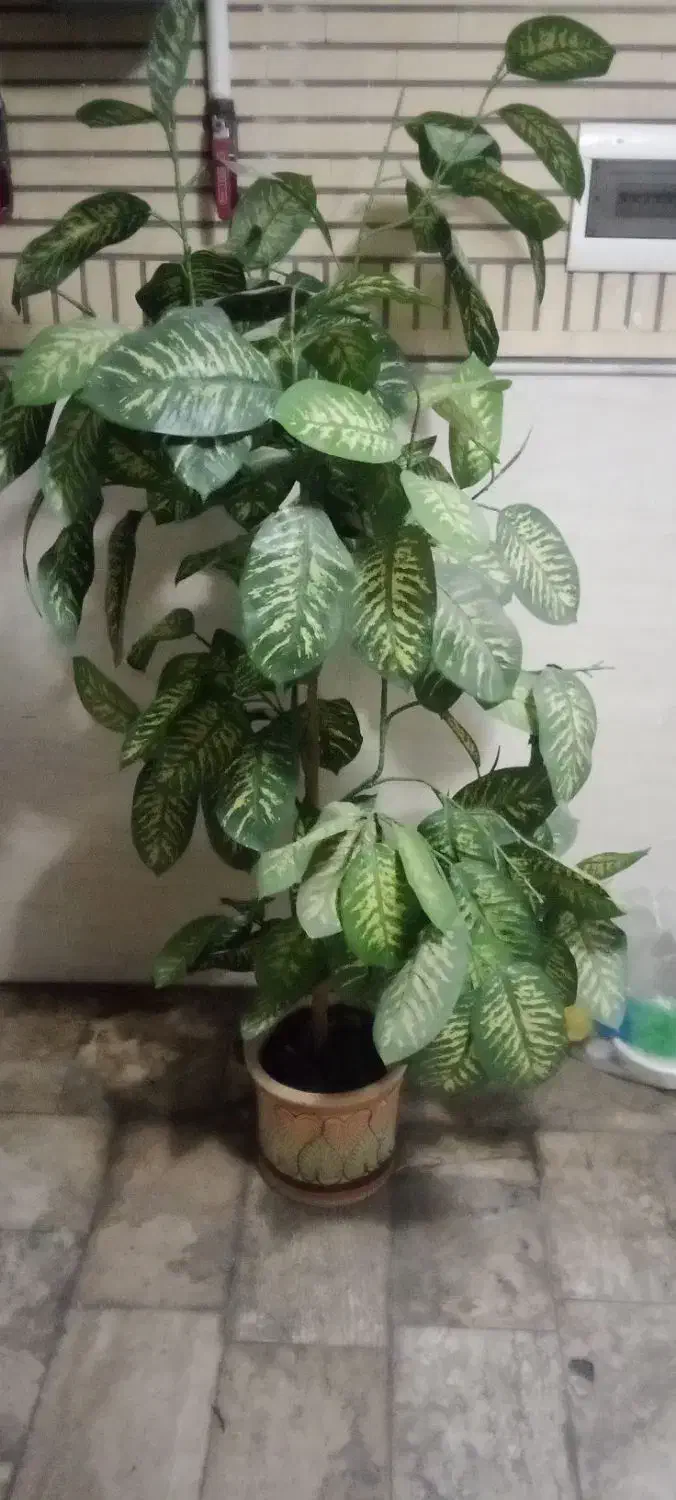 گل مصنوعی|گل مصنوعی|قم, انسجام|دیوار