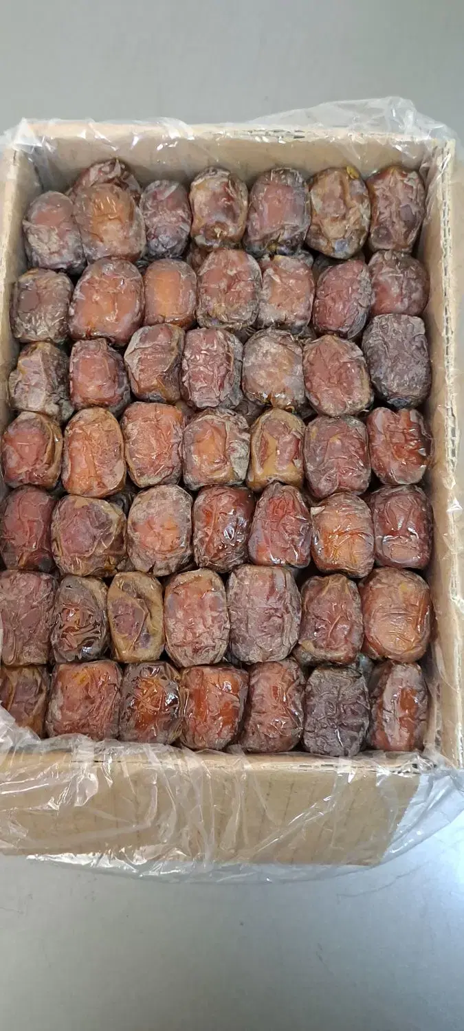 خرمای مرداسنگ رطبی عسلی فرد اعلا|خوردنی و آشامیدنی|قم, وادی السلام|دیوار