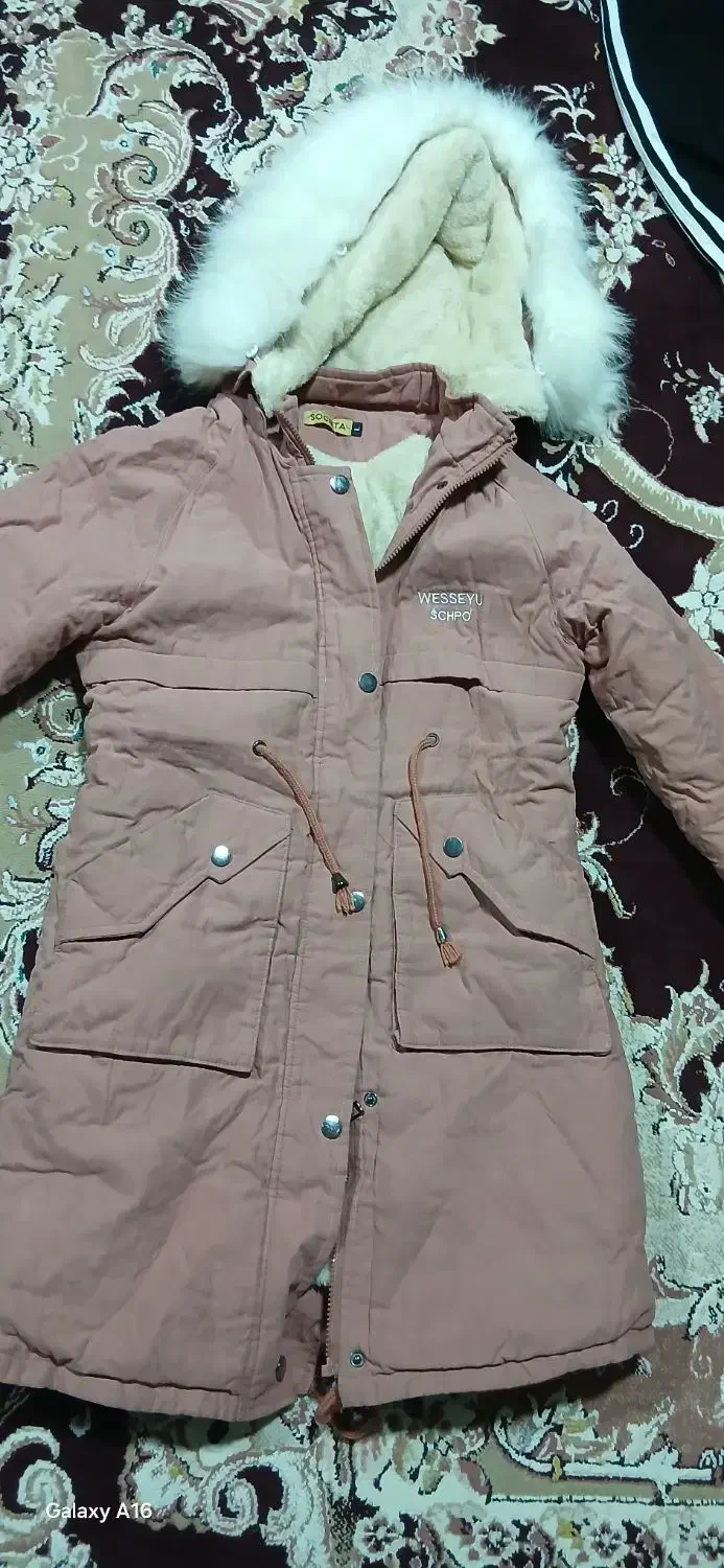 پالتوکلاهدار|لباس|مرودشت, سهل‌آباد|دیوار