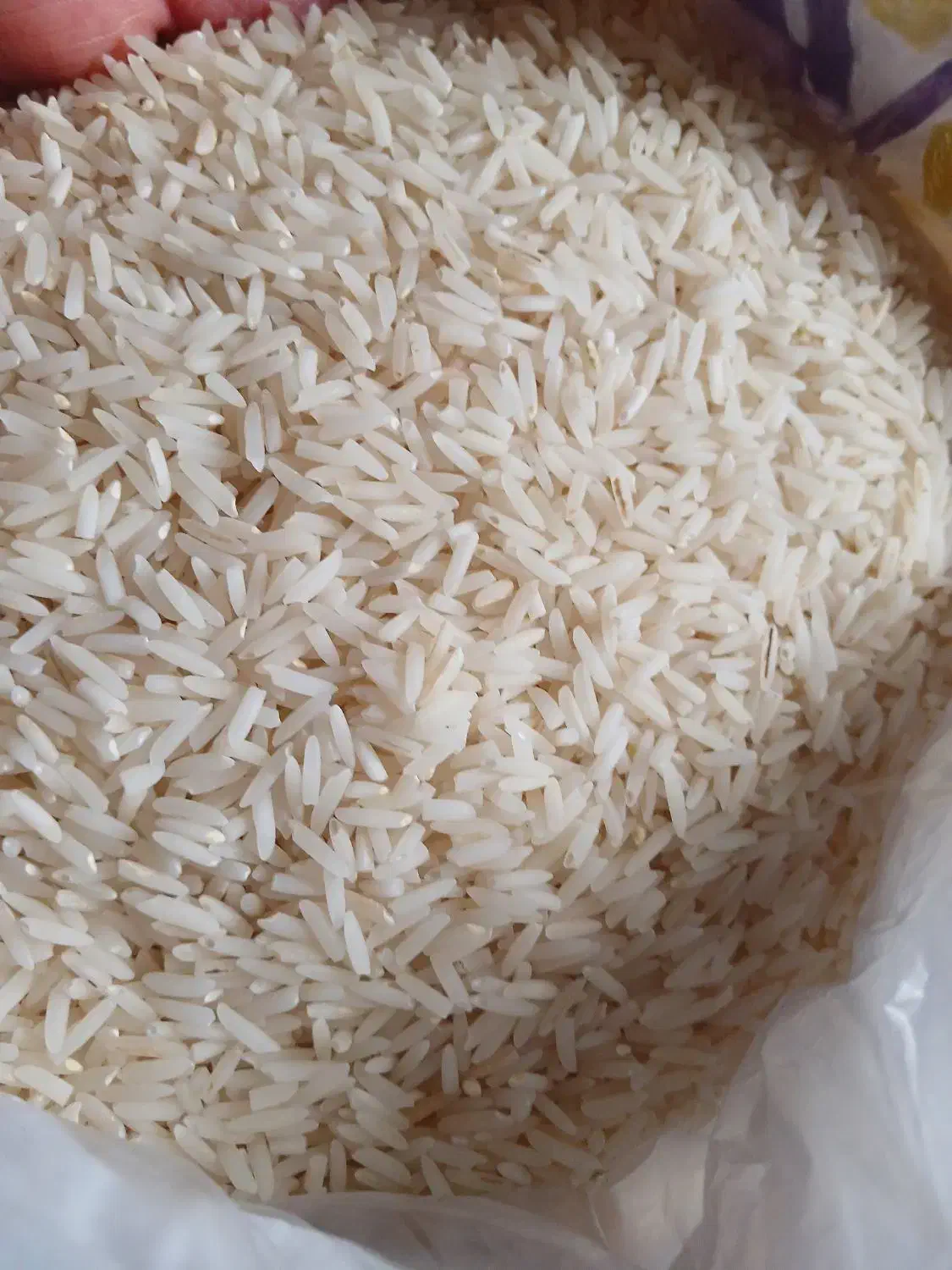 برنج دم سیای اعلا|خوردنی و آشامیدنی|شفت, |دیوار