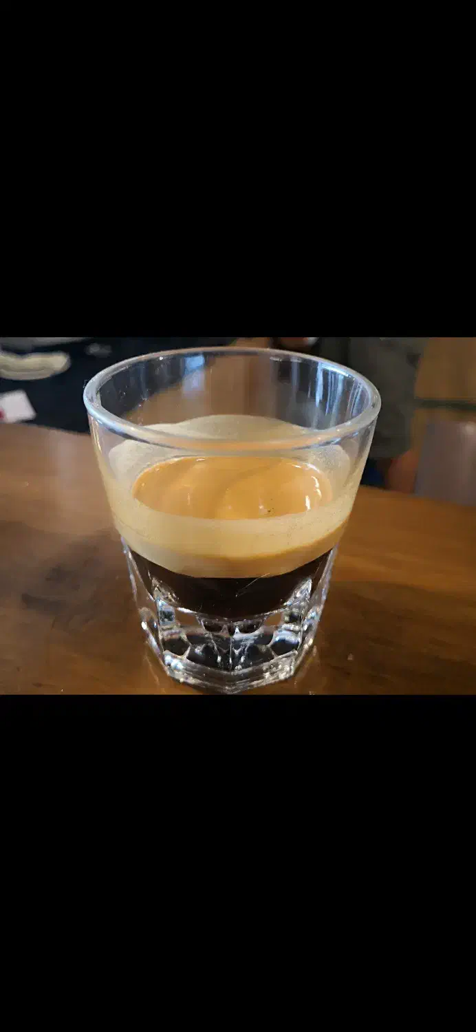 اسپرسوساز گوسونیک مدل GEM-882 فول اتوماتیک|سماور، چایساز، قهوهساز|تهران, افسریه شمالی|دیوار