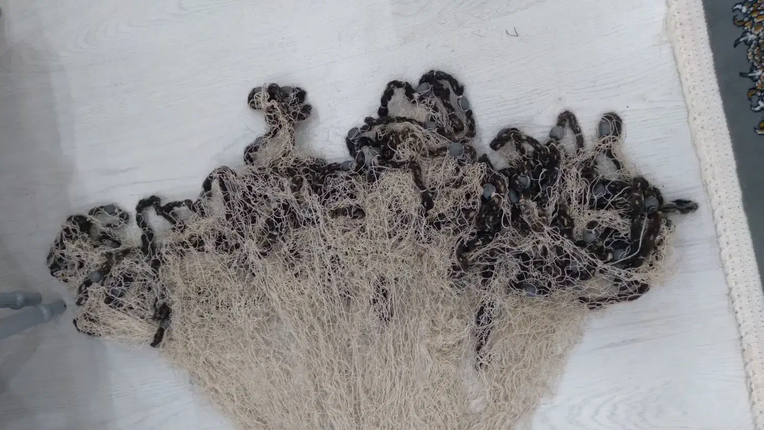 تور ماهی گیری سالیک|ماهیگیری|پاکدشت, حصار امیر|دیوار