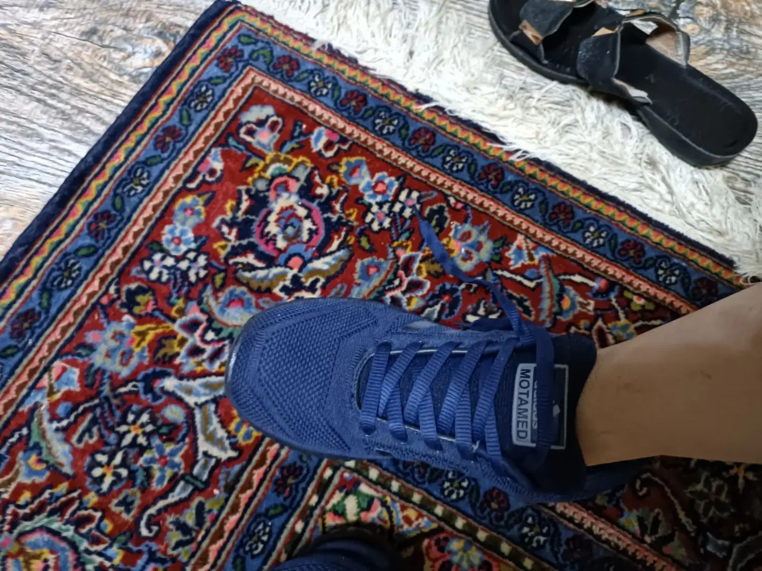 کتانی adidas|کیف، کفش، کمربند|رشت, کاکتوس|دیوار