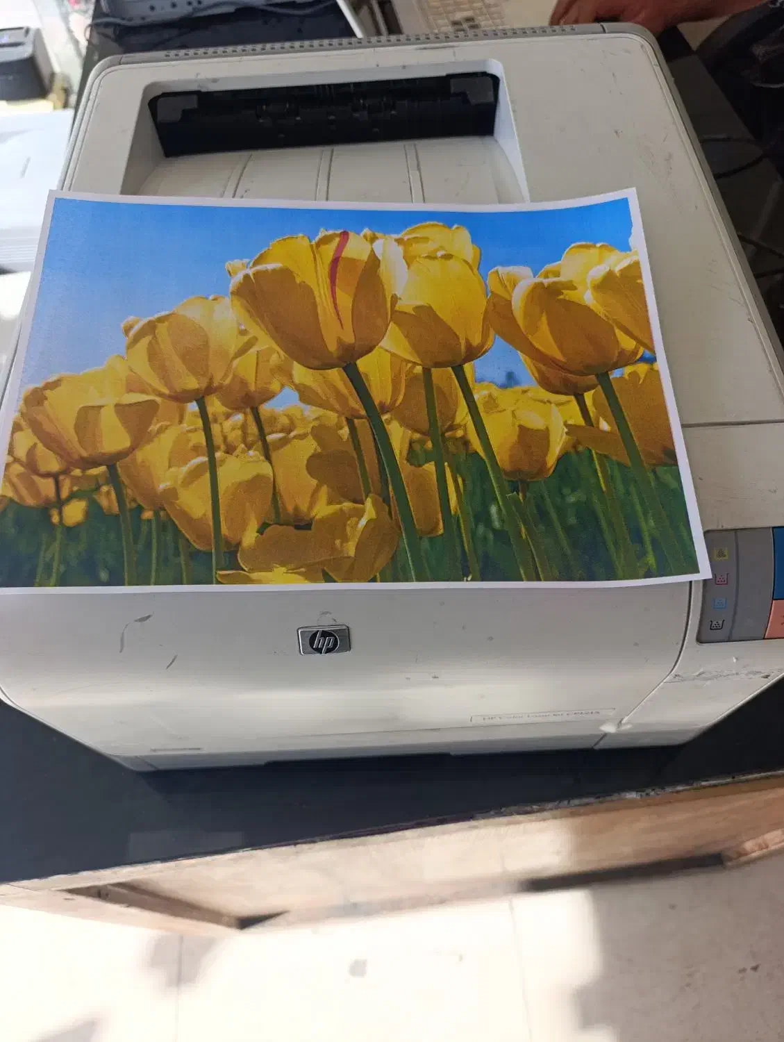 پرینتر رنگی hp1215|پرینتر، اسکنر، کپی، فکس|زرند, |دیوار