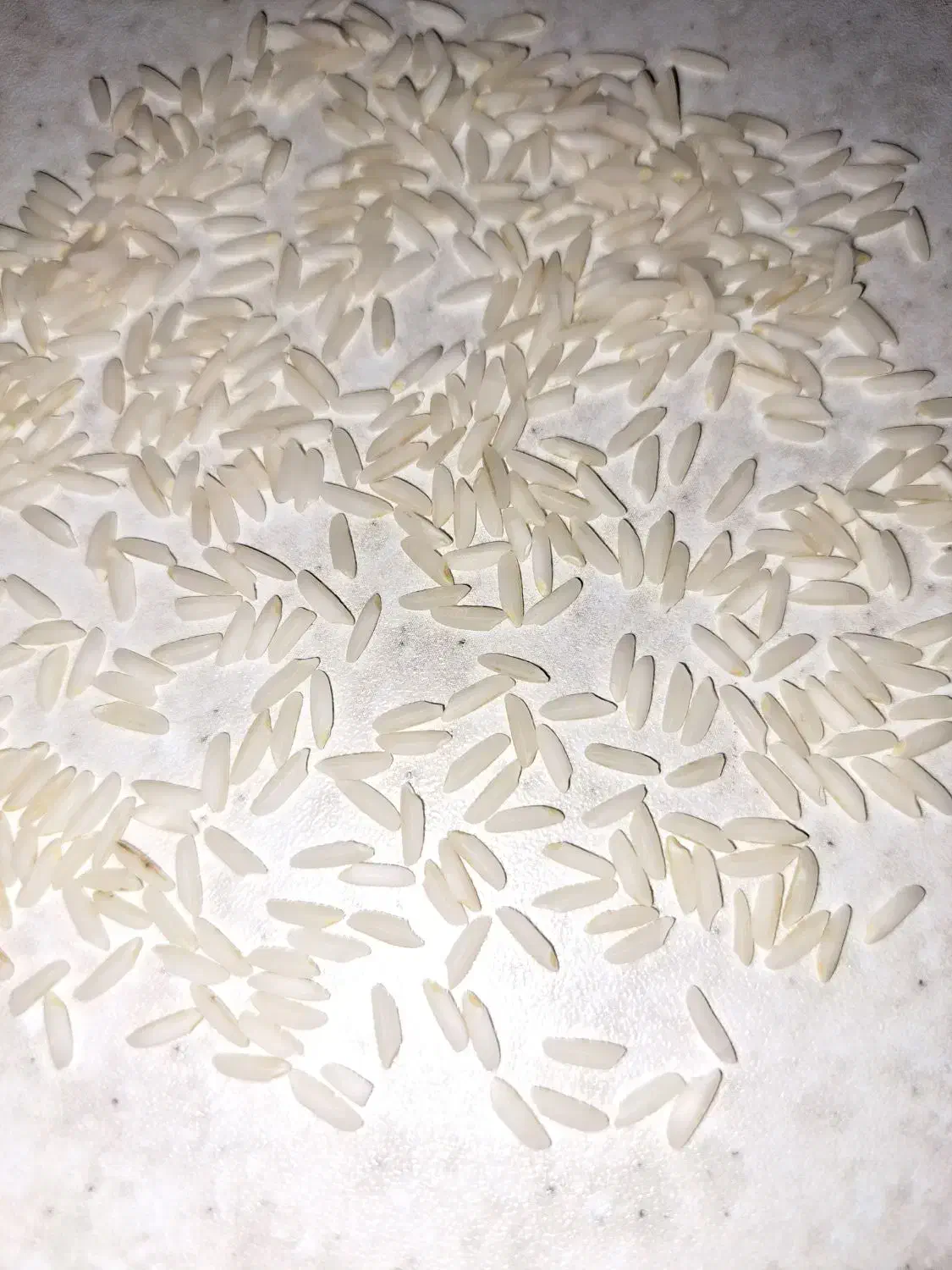 فروش برنج|خوردنی و آشامیدنی|طارم, |دیوار