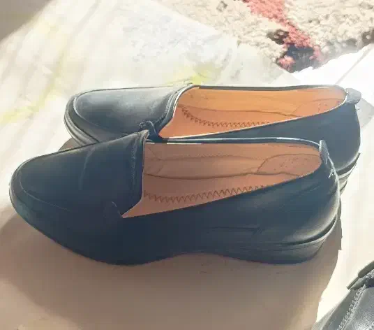 چهار جفت کفش کاملا نو|کیف، کفش، کمربند|پرند, فاز ۵|دیوار