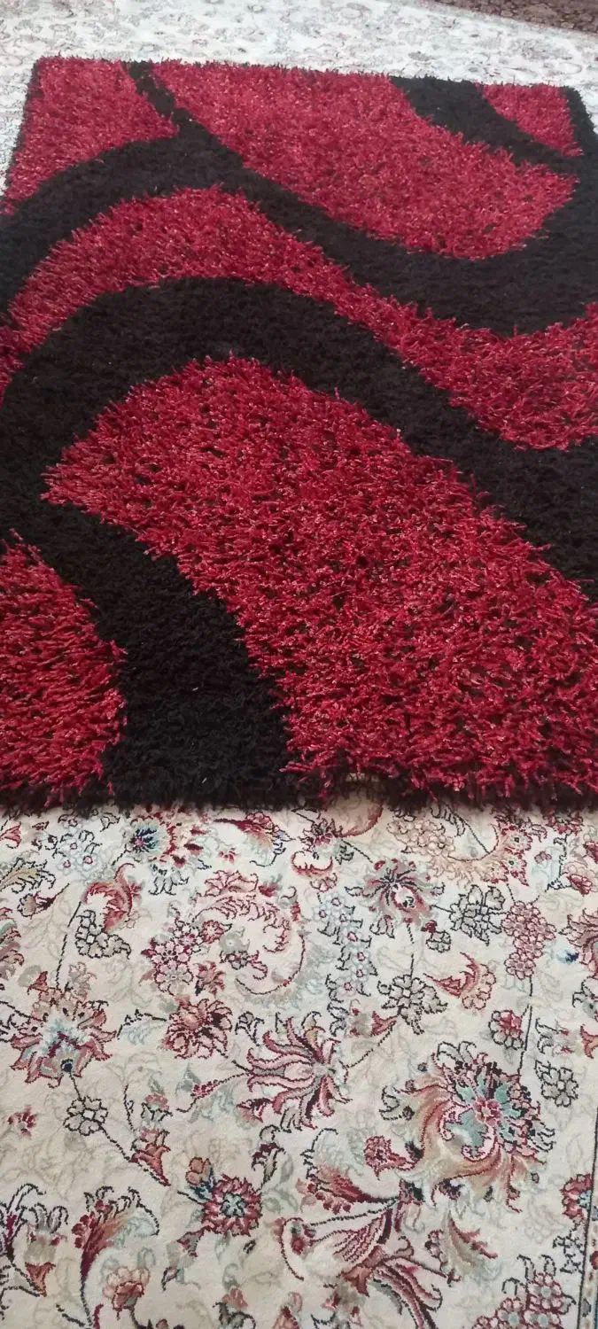 قایچه ودوتا پادری|فرش|مشهد, حجاب (شهرک غرب)|دیوار