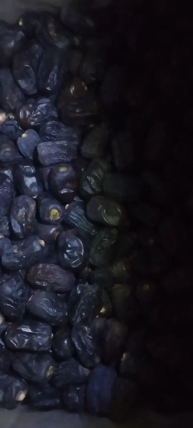 فله دو|خوردنی و آشامیدنی|بم, |دیوار