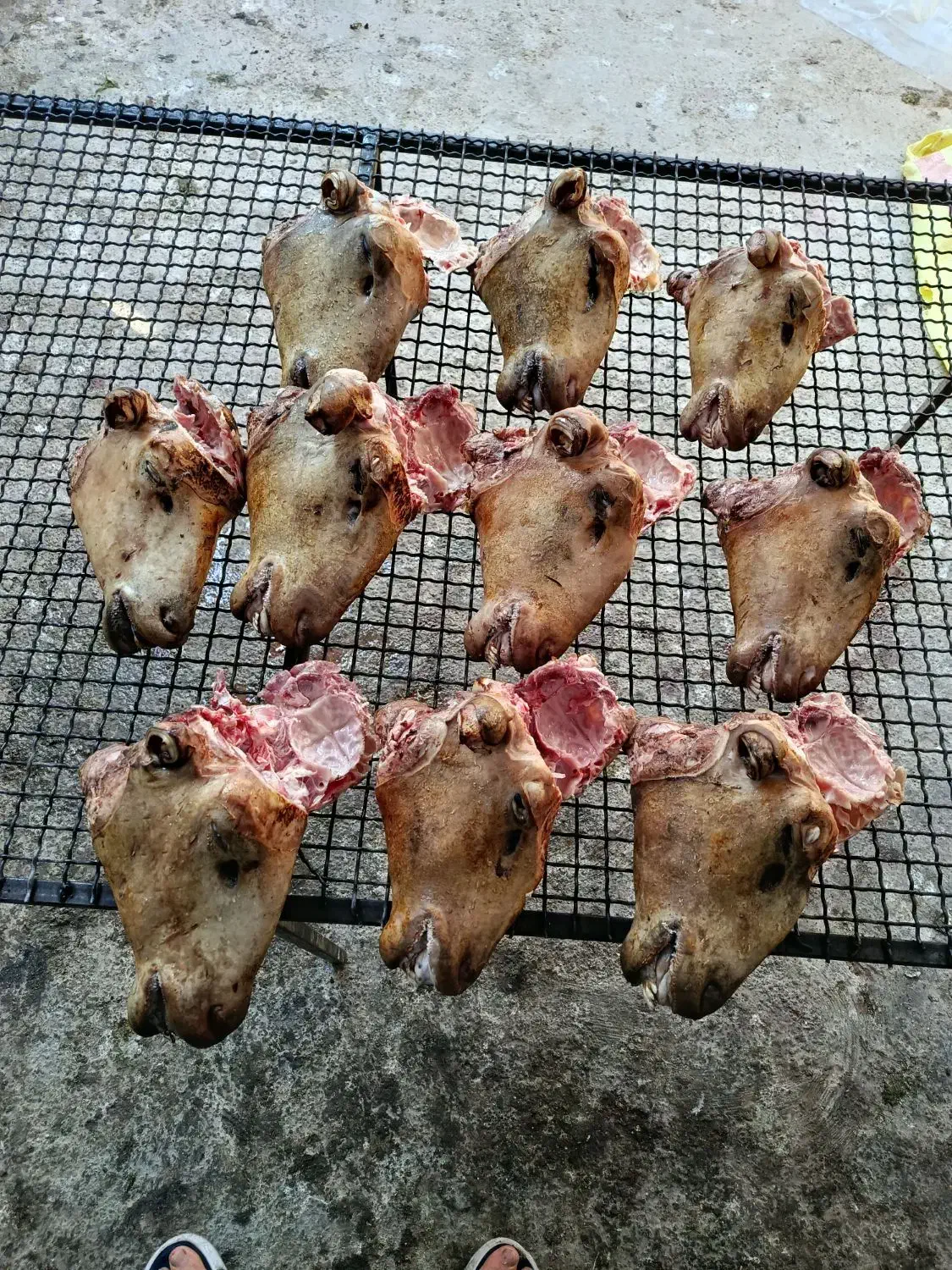 کله پاچه میش بره بز|خوردنی و آشامیدنی|اسلامشهر, شهرک سعیدیه|دیوار